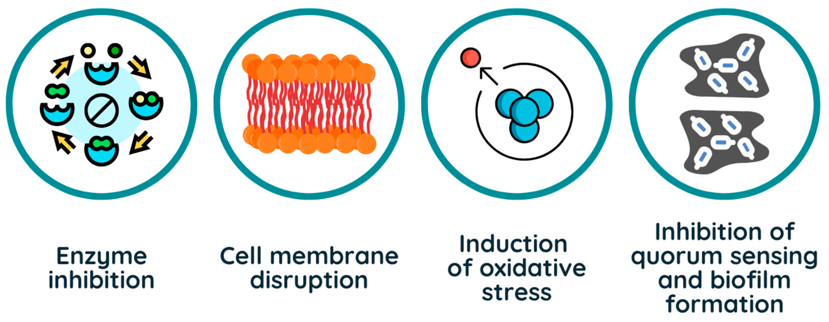 Foods 14 01893 g001 Foods 14 01893 g001