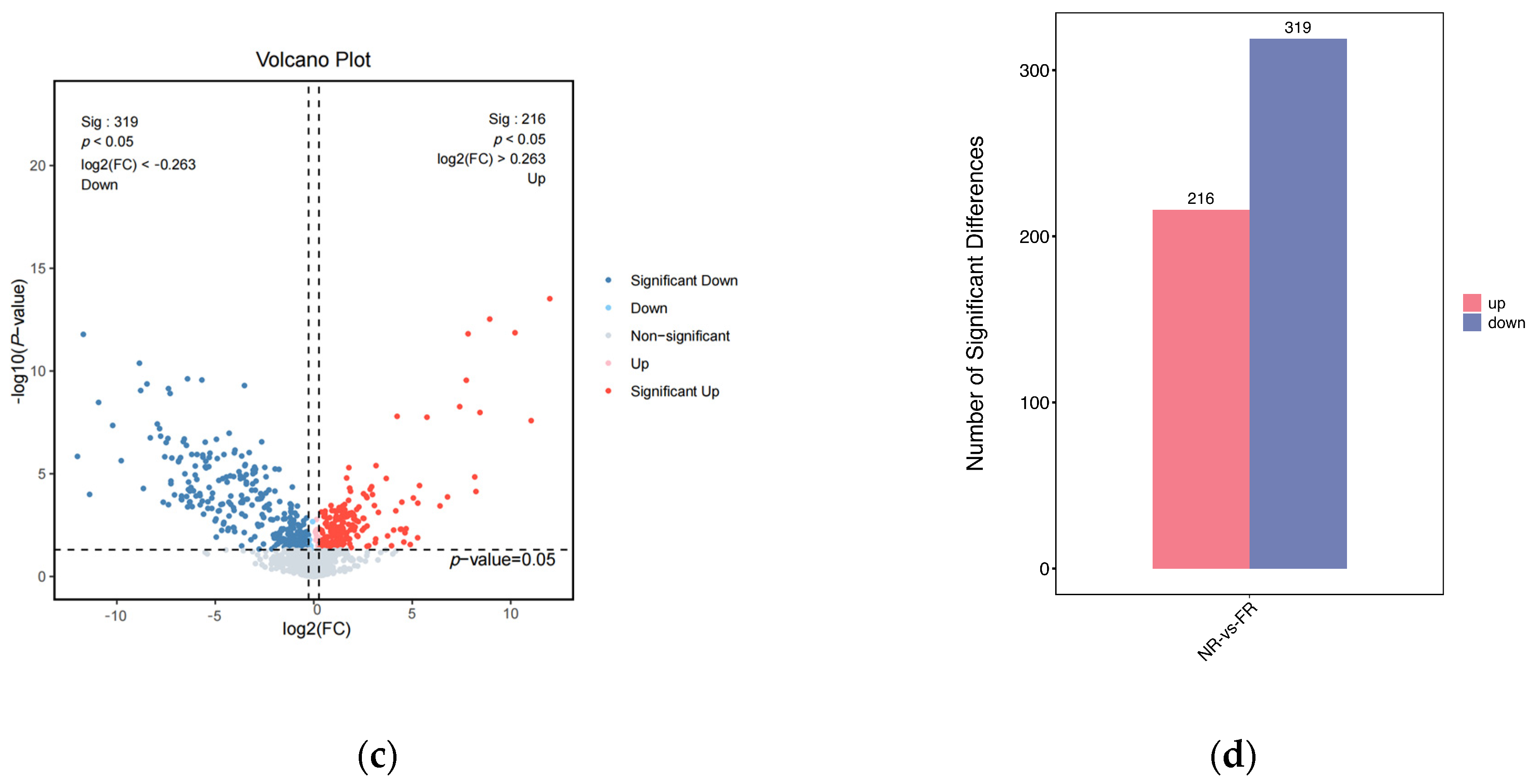 Foods 14 01911 g001b