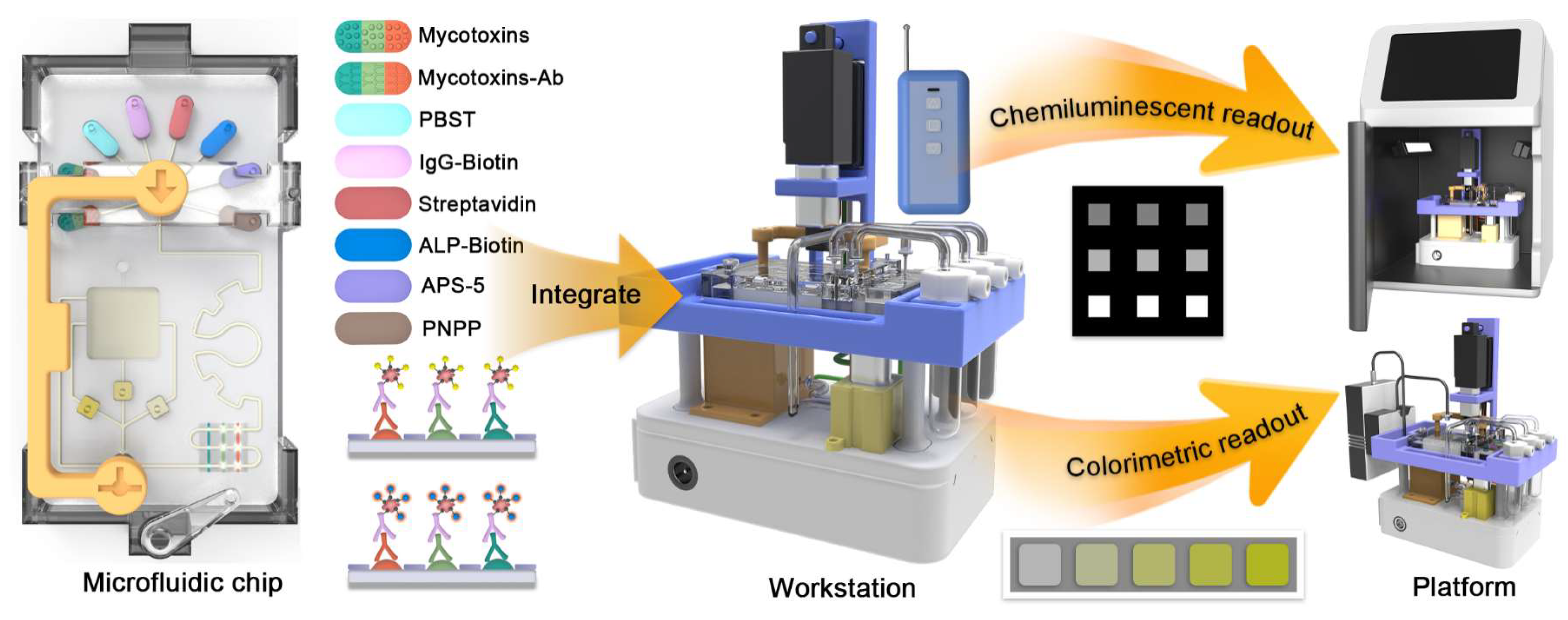 Foods 14 01928 sch001
