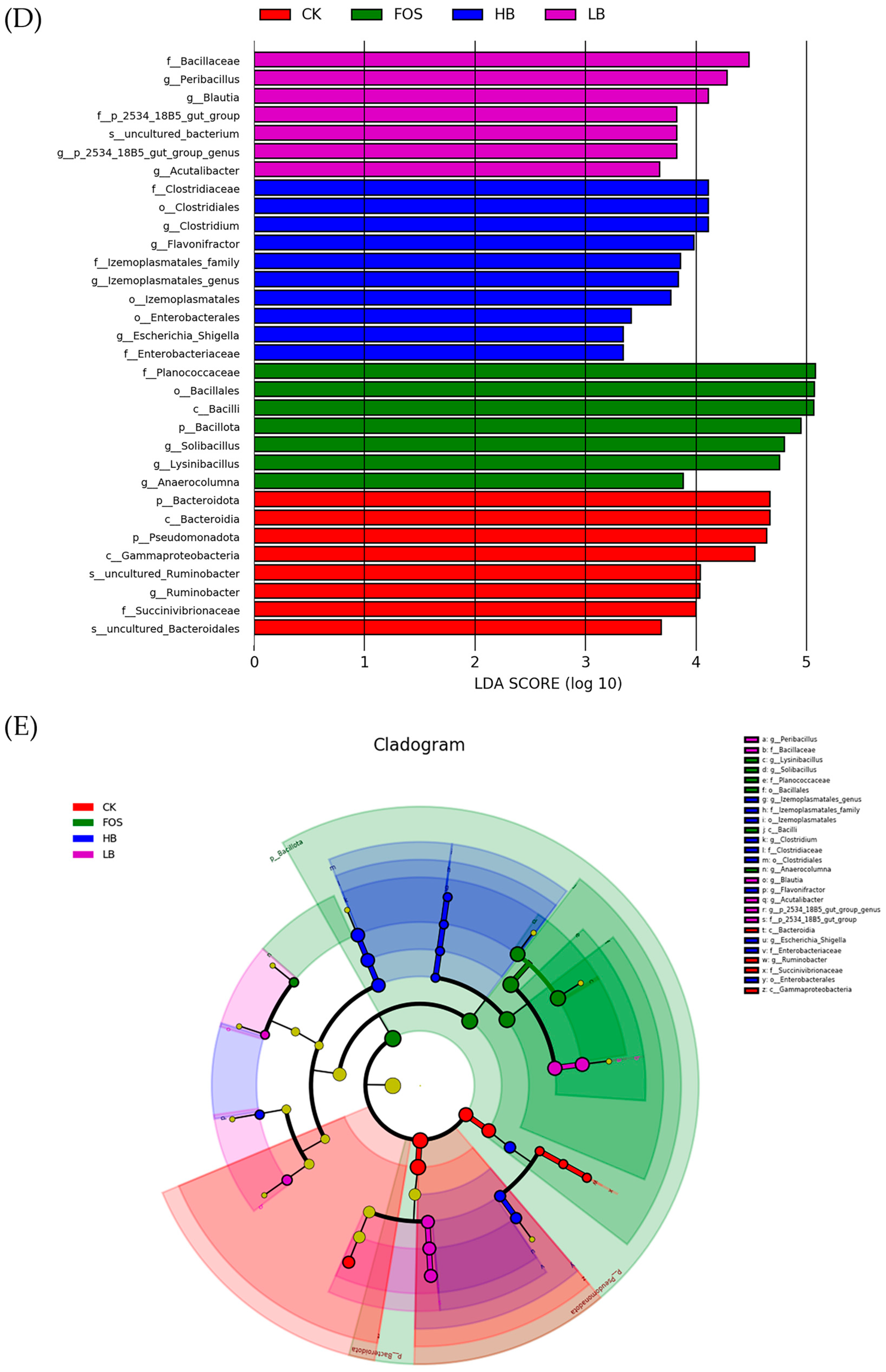 Foods 14 01994 g004b