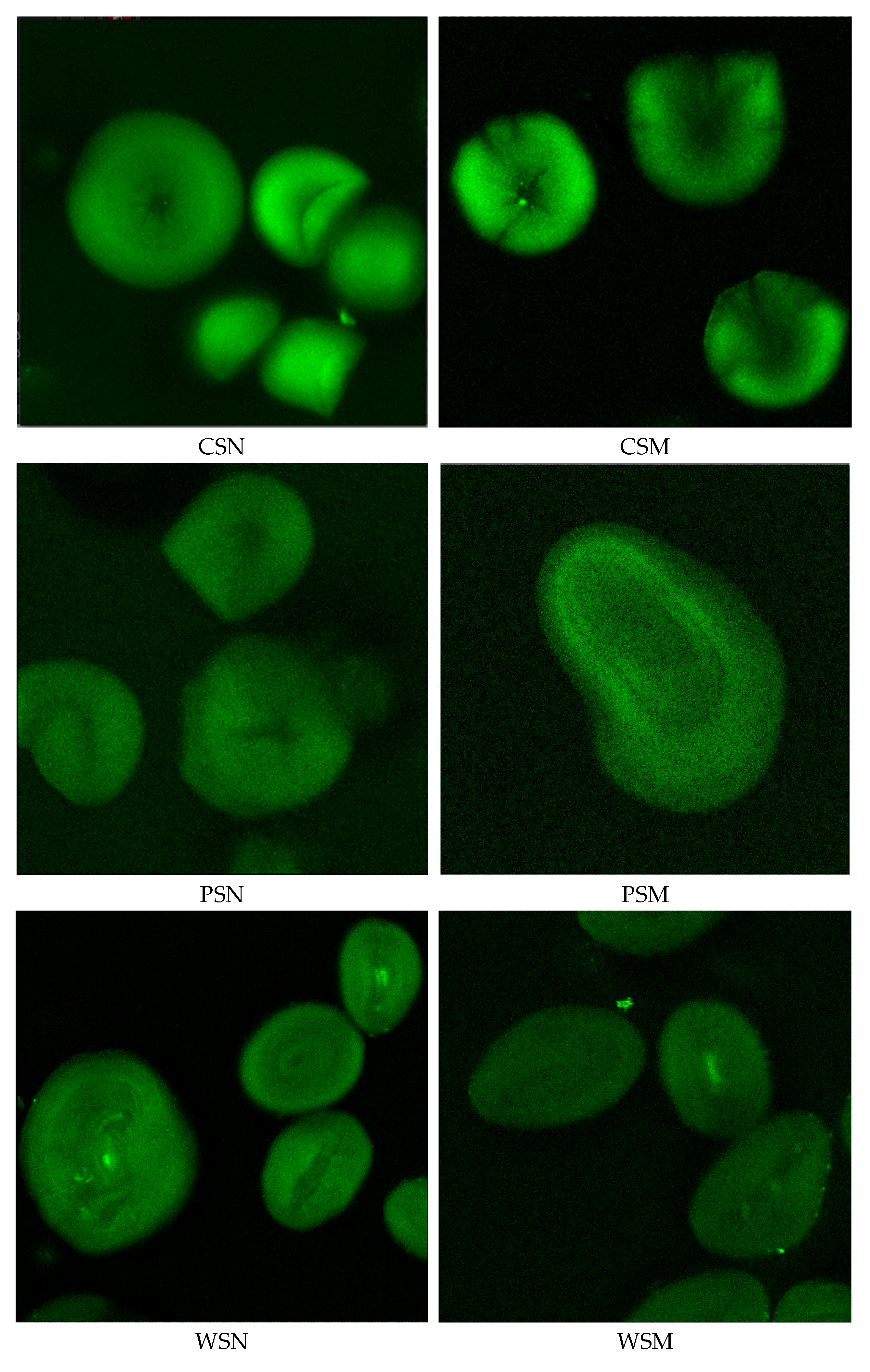 Foods 14 02001 g001a