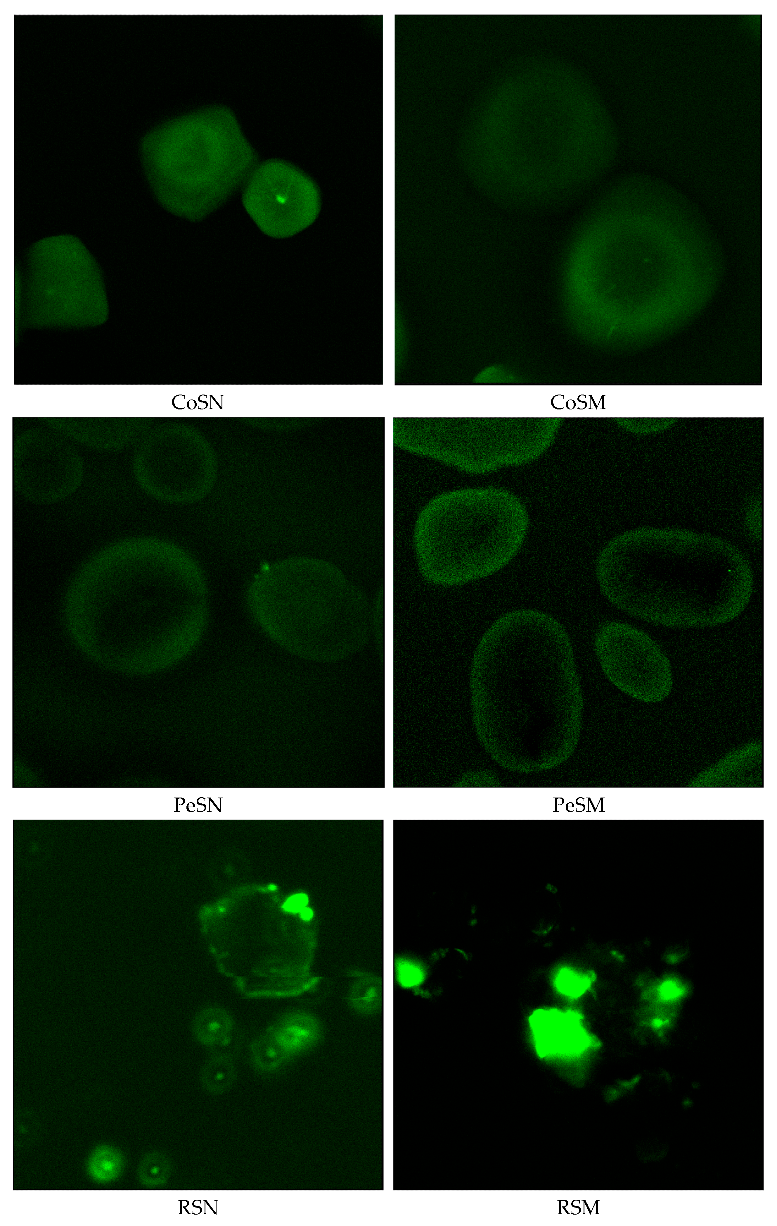 Foods 14 02001 g001b