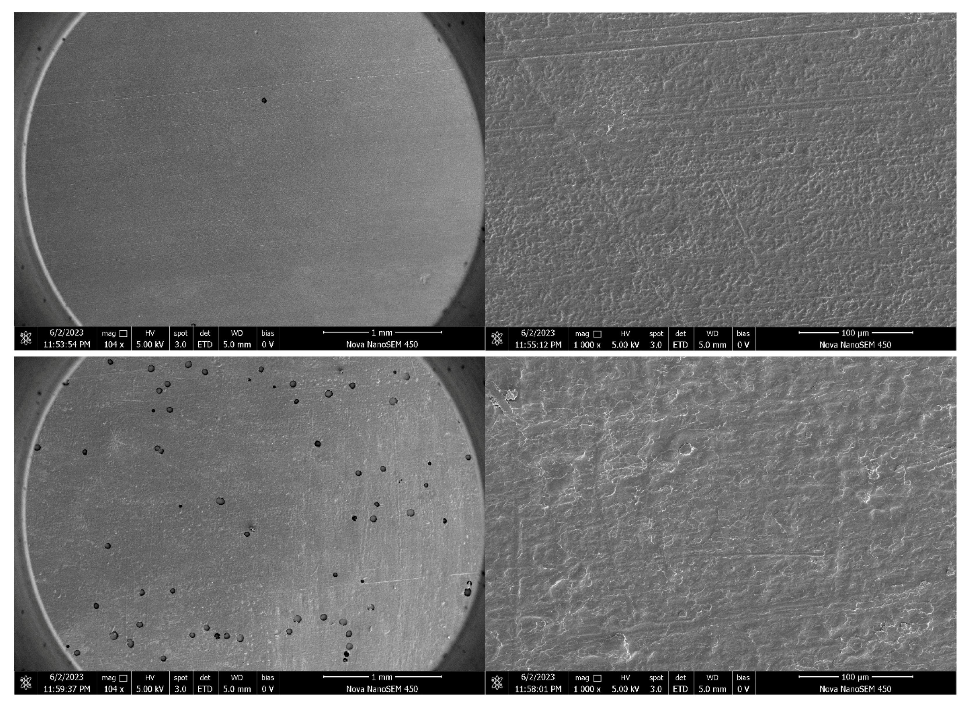 Foods 14 02001 g009b