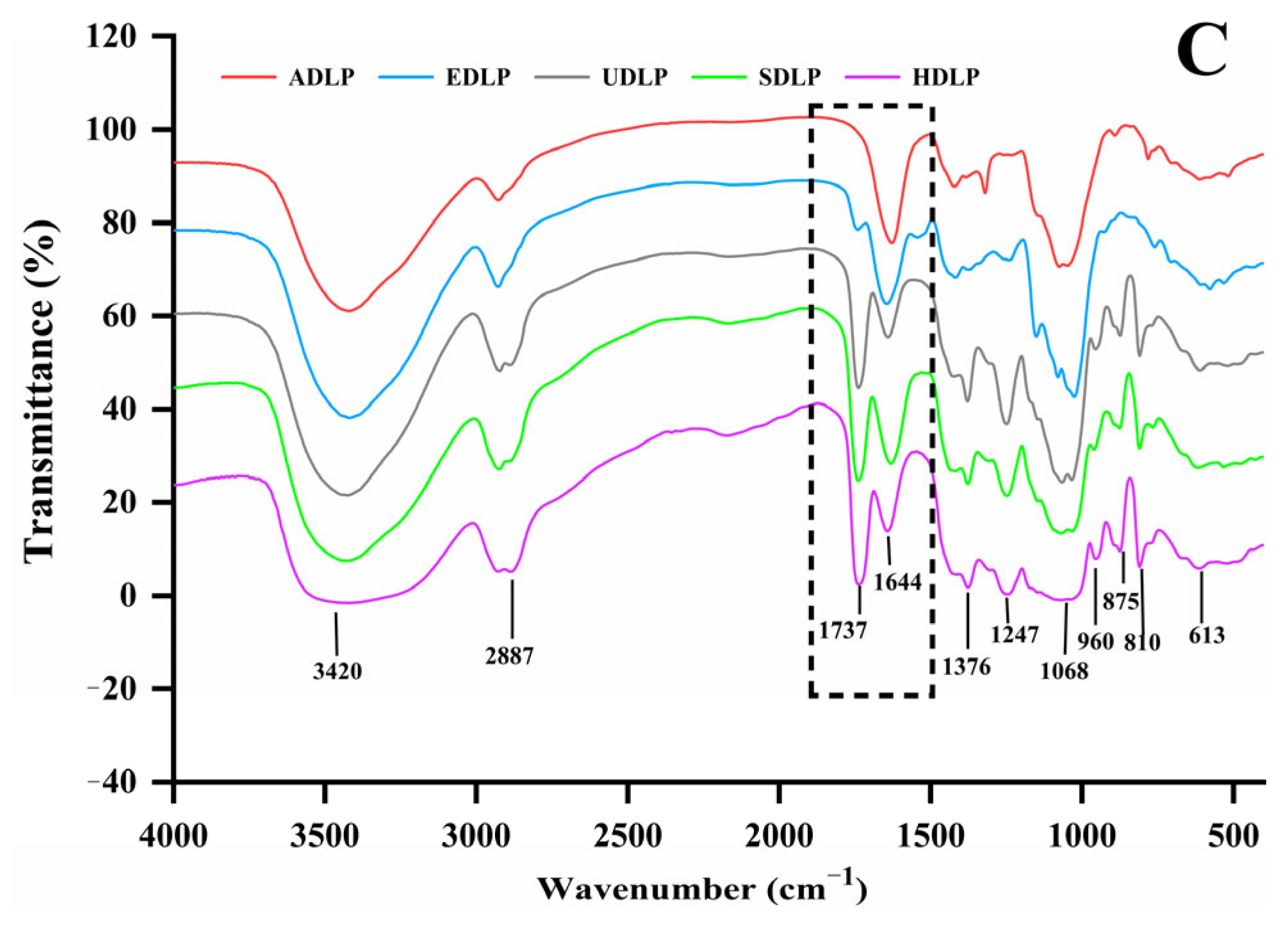 Foods 14 02029 g002b