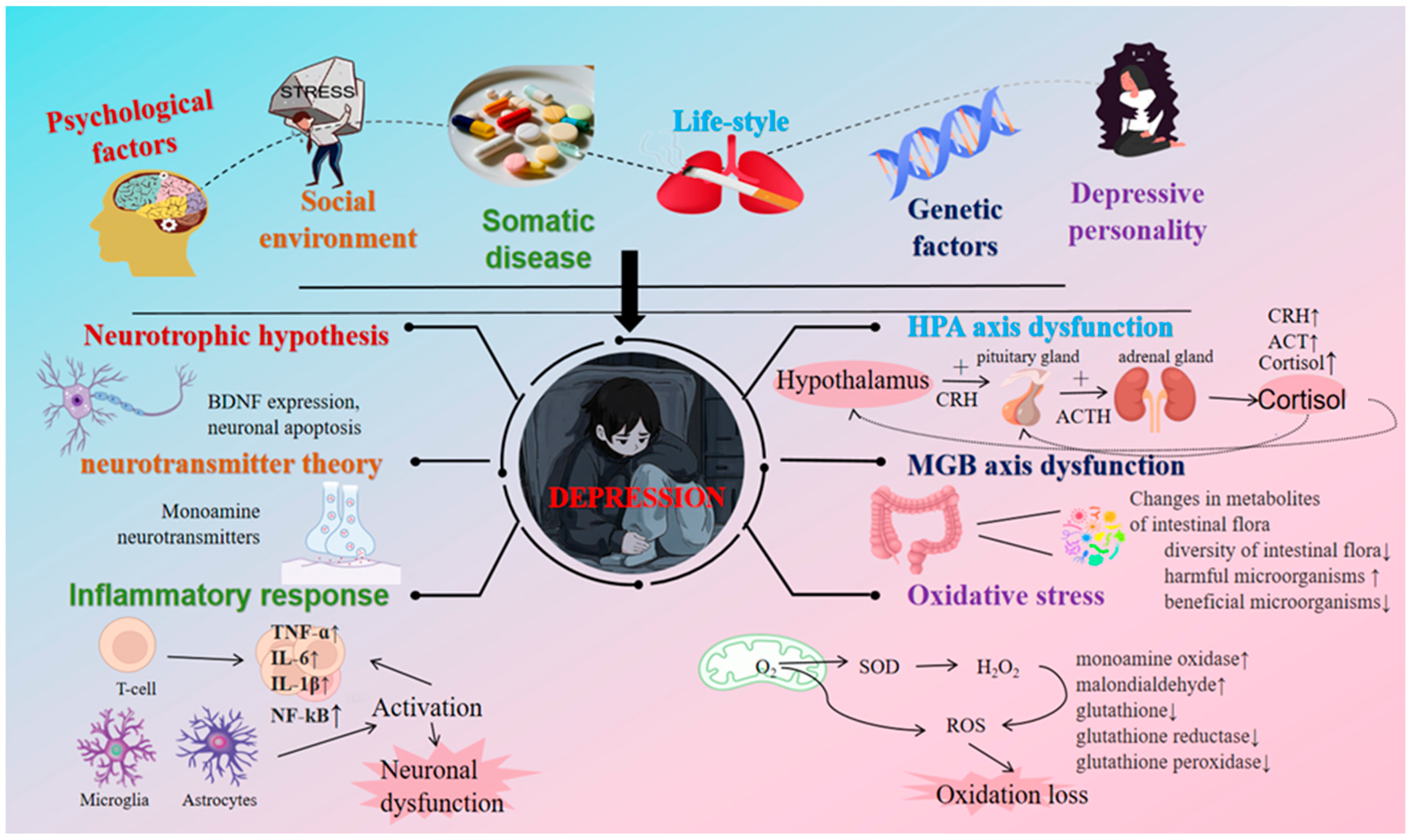 Foods 14 02054 g001 Foods 14 02054 g001