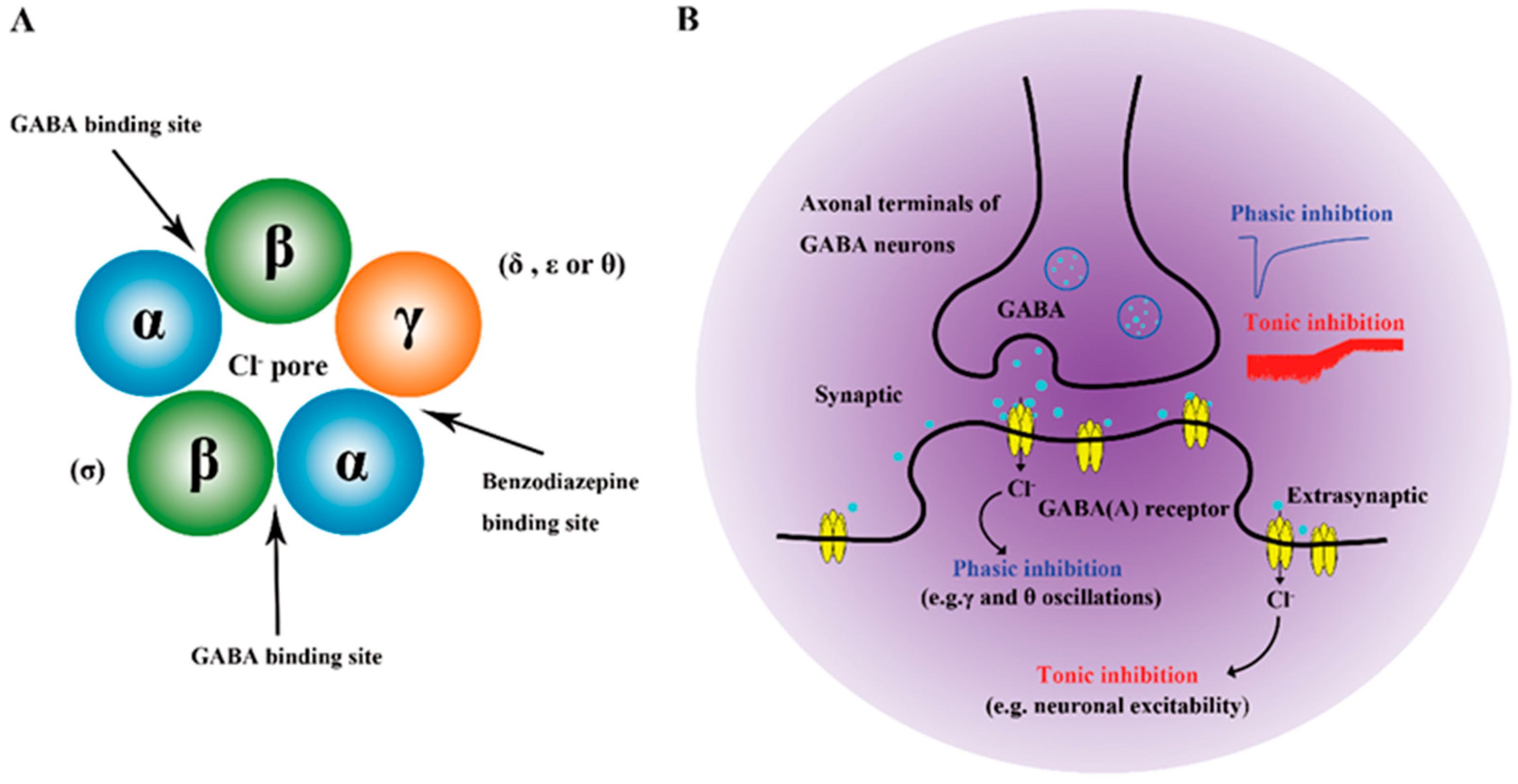 Foods 14 02054 g002 Foods 14 02054 g002