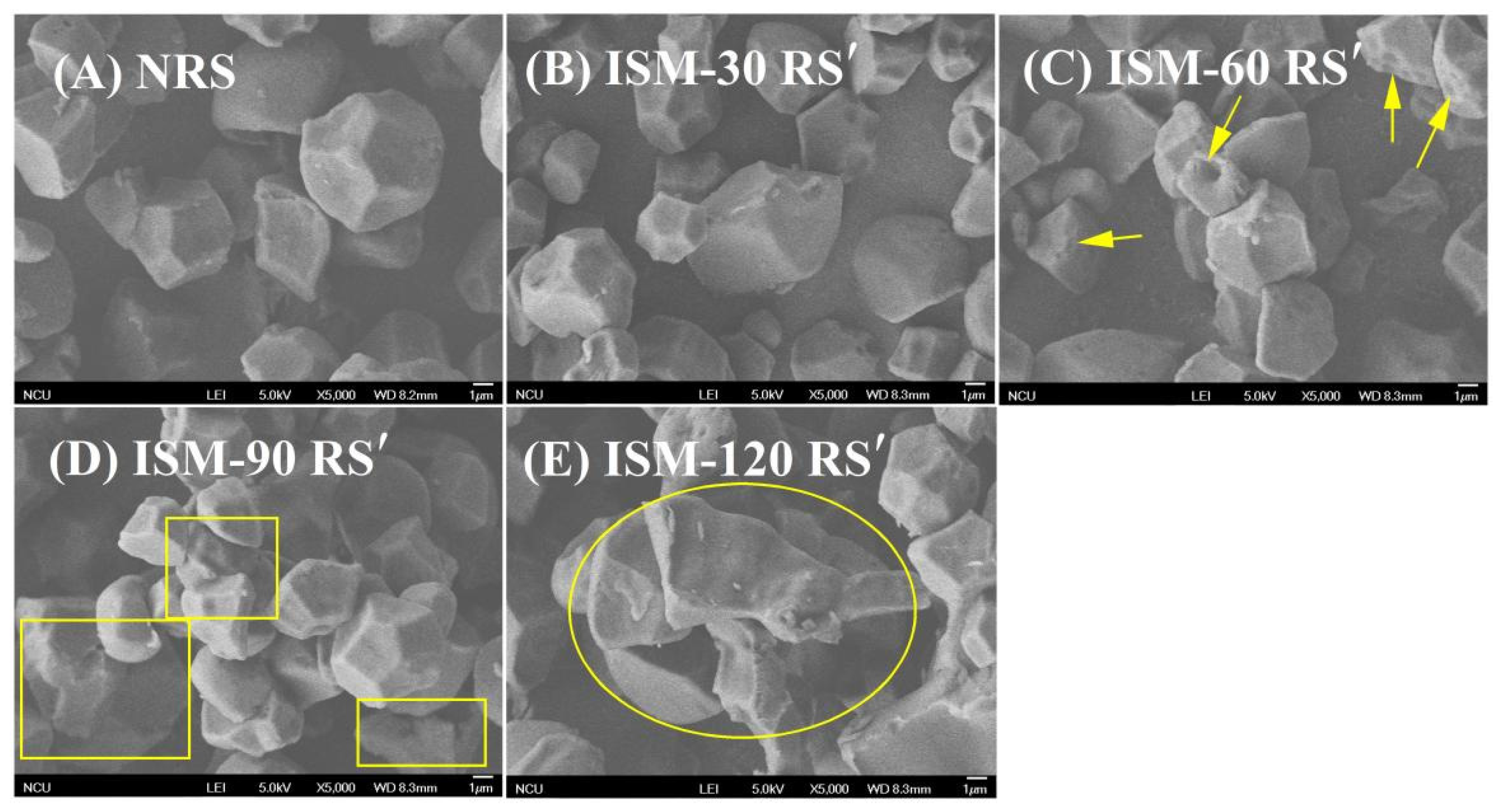 Stress-Induced Magnetic Anisotropy in Fe-Based Amorphous