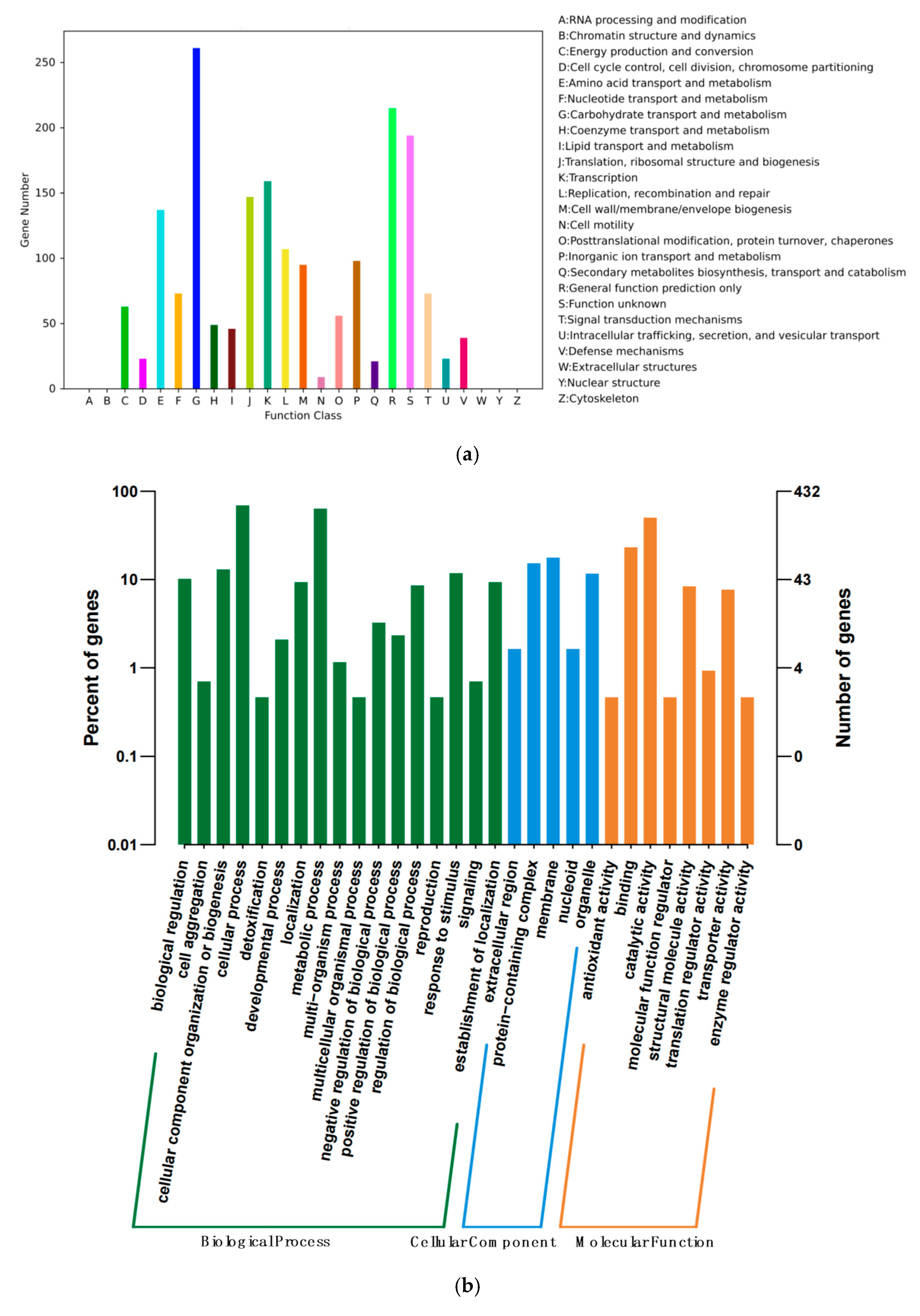 Foods 14 02076 g003a