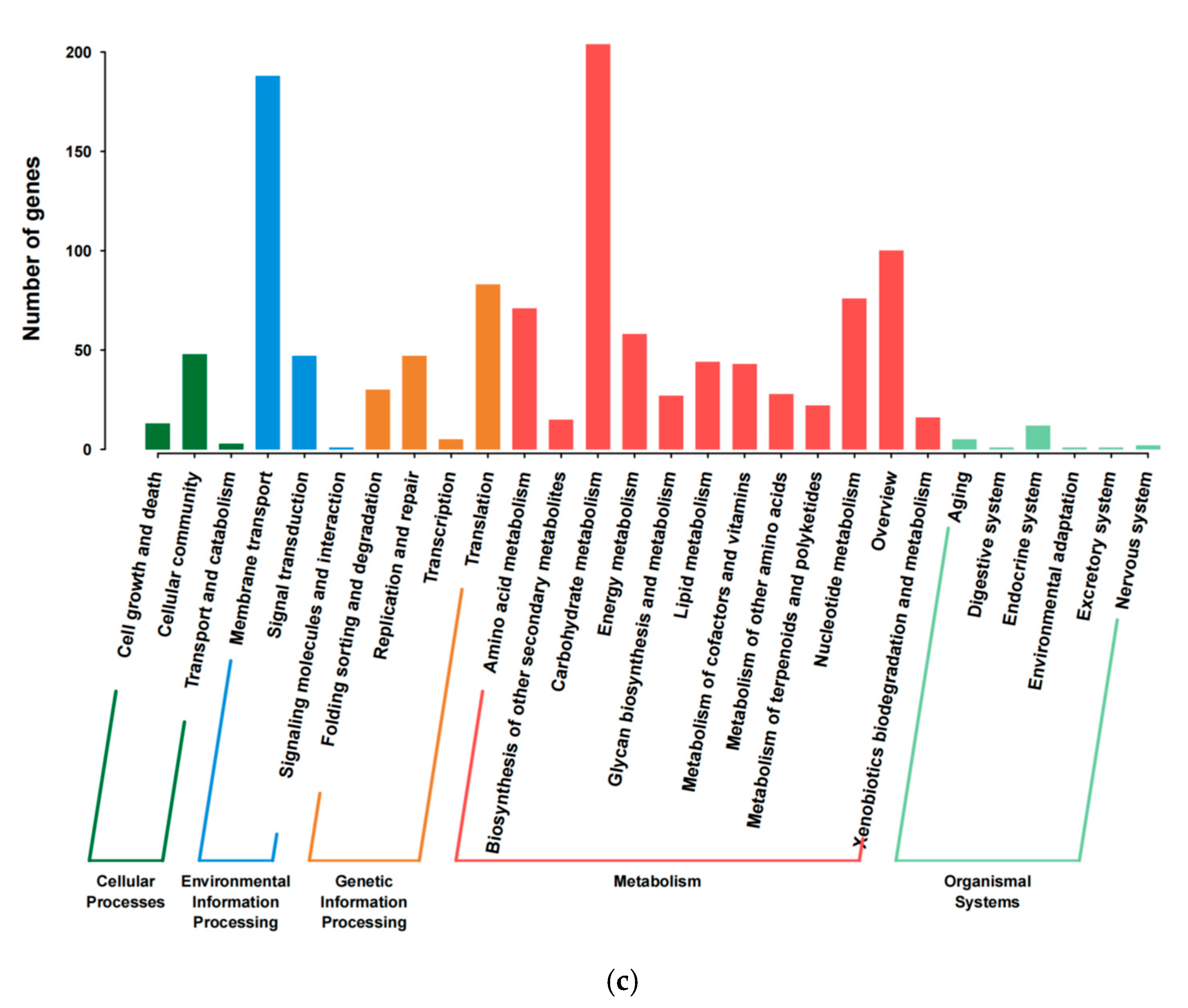 Foods 14 02076 g003b