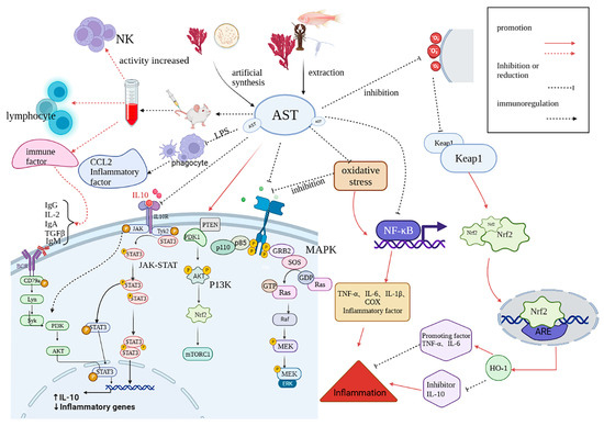 ののはん  Unlocking the Potential of Hybrid Nanocomposite Hydrogels