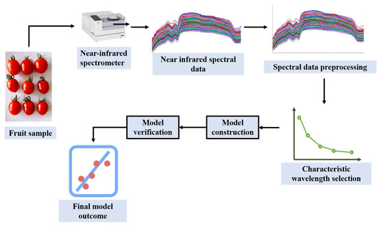 Non-Destructive Detection of Fruit Quality: Technologies