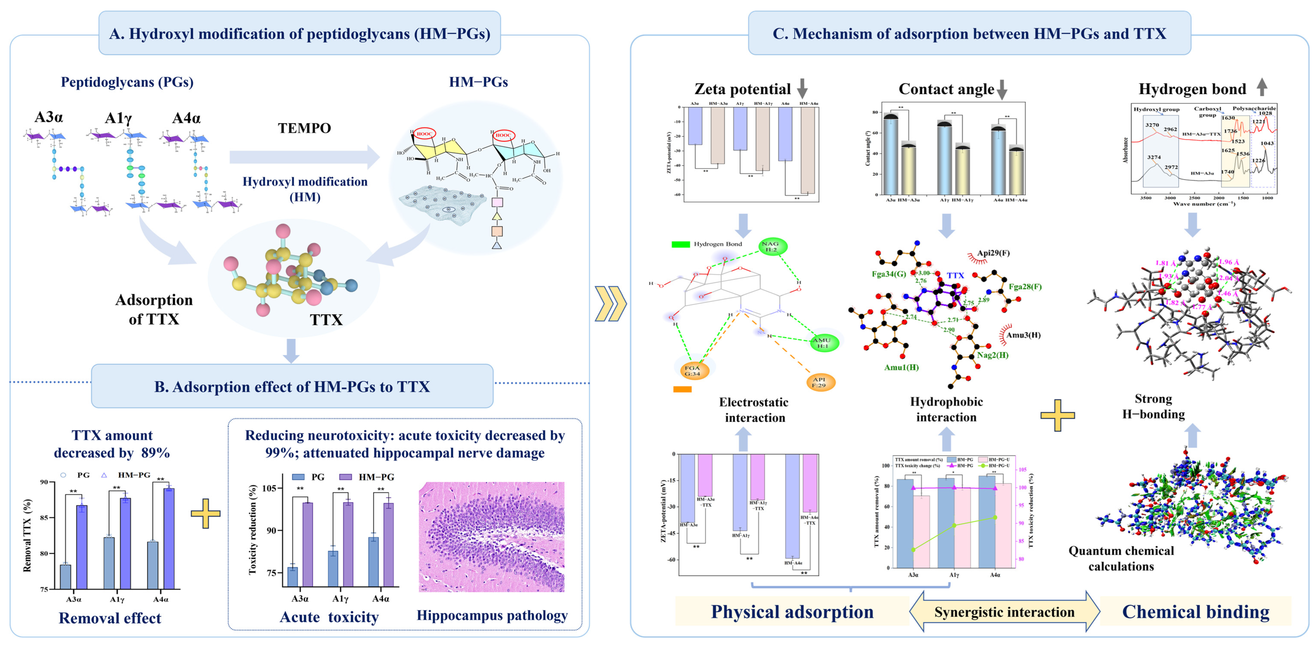 Foods 14 02145 sch001