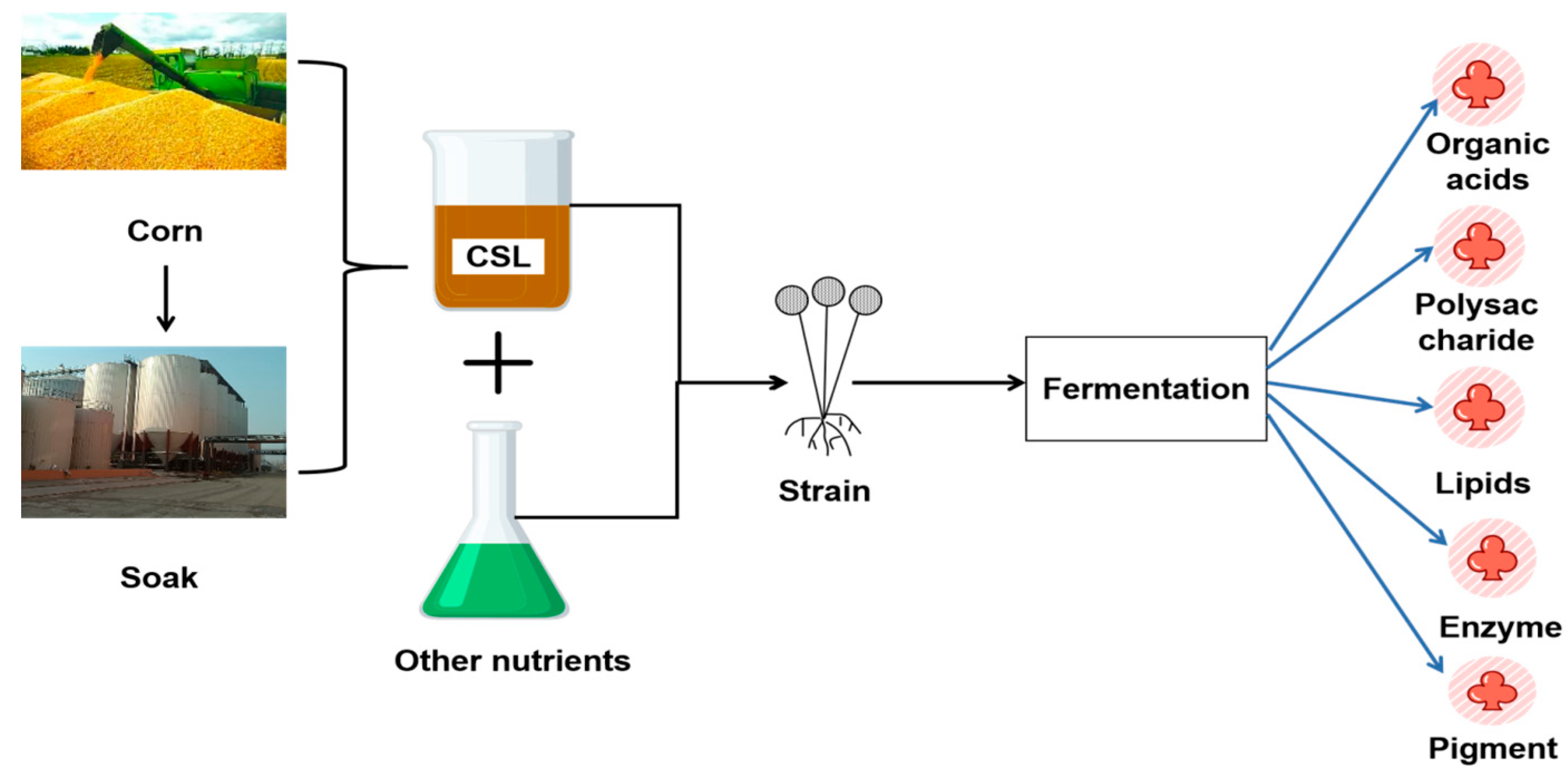 Corn Steep Liquor as an Efficient Bioresource for Functional