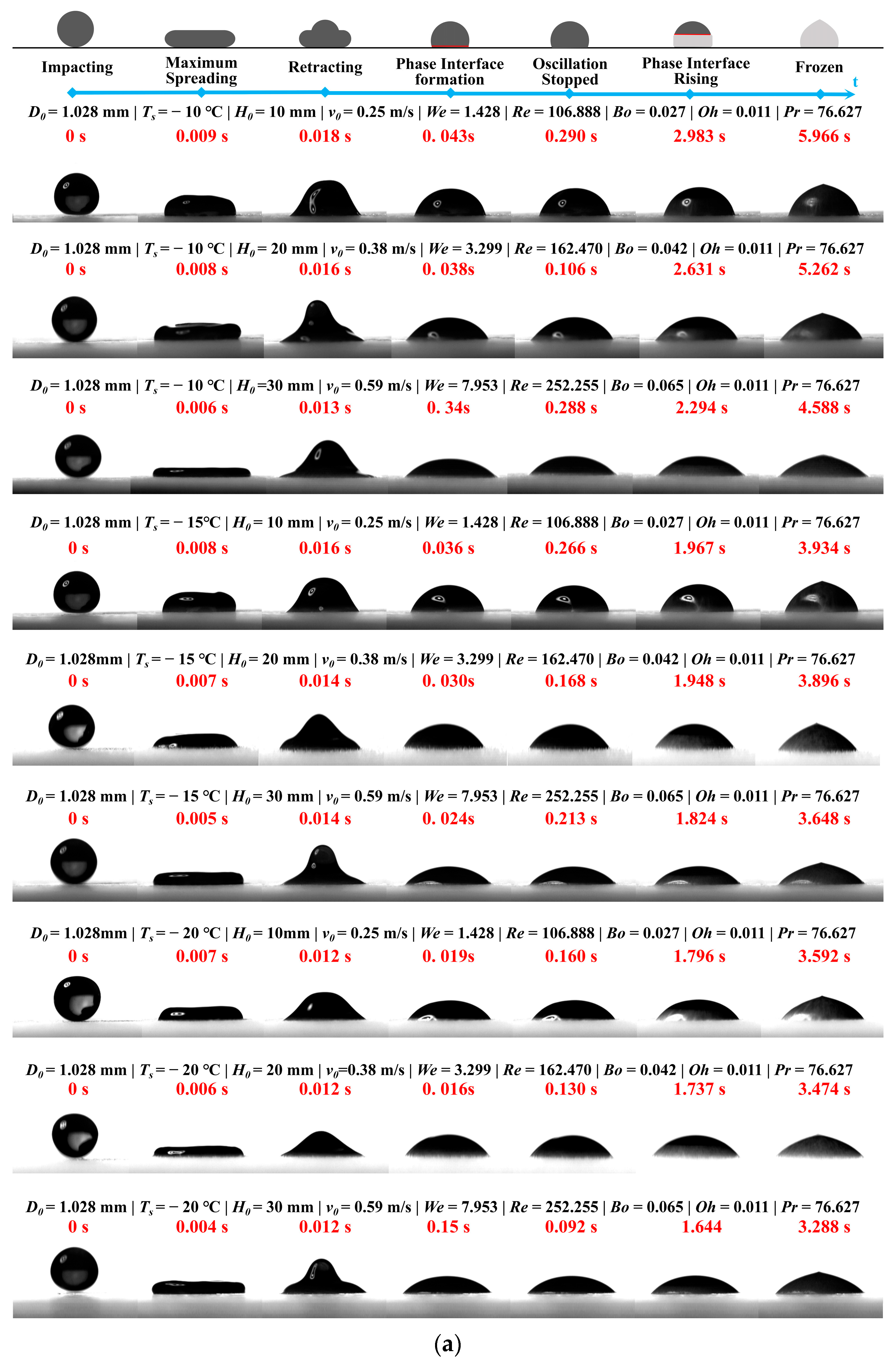 Foods 14 02173 g005a