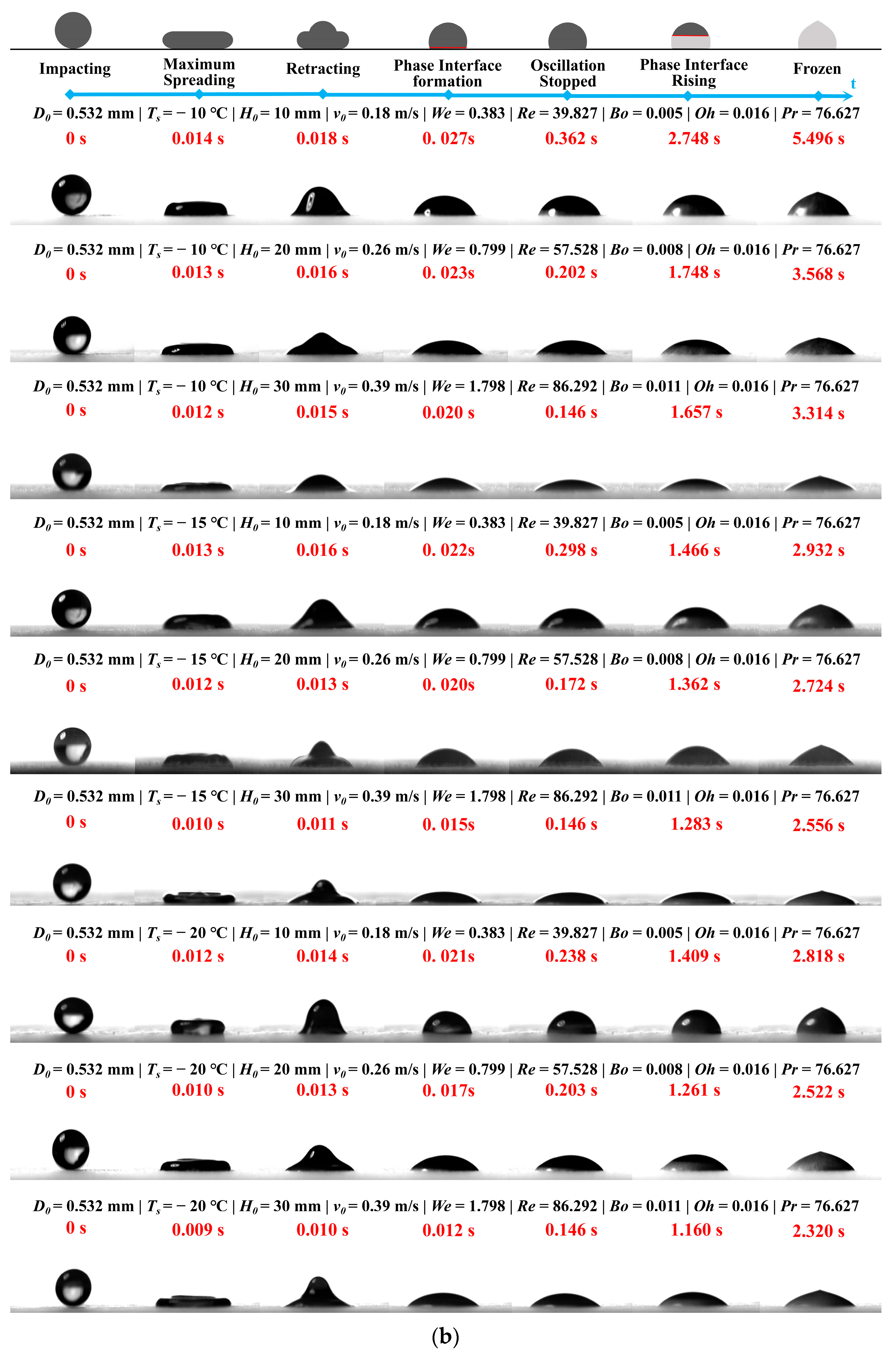 Foods 14 02173 g005b