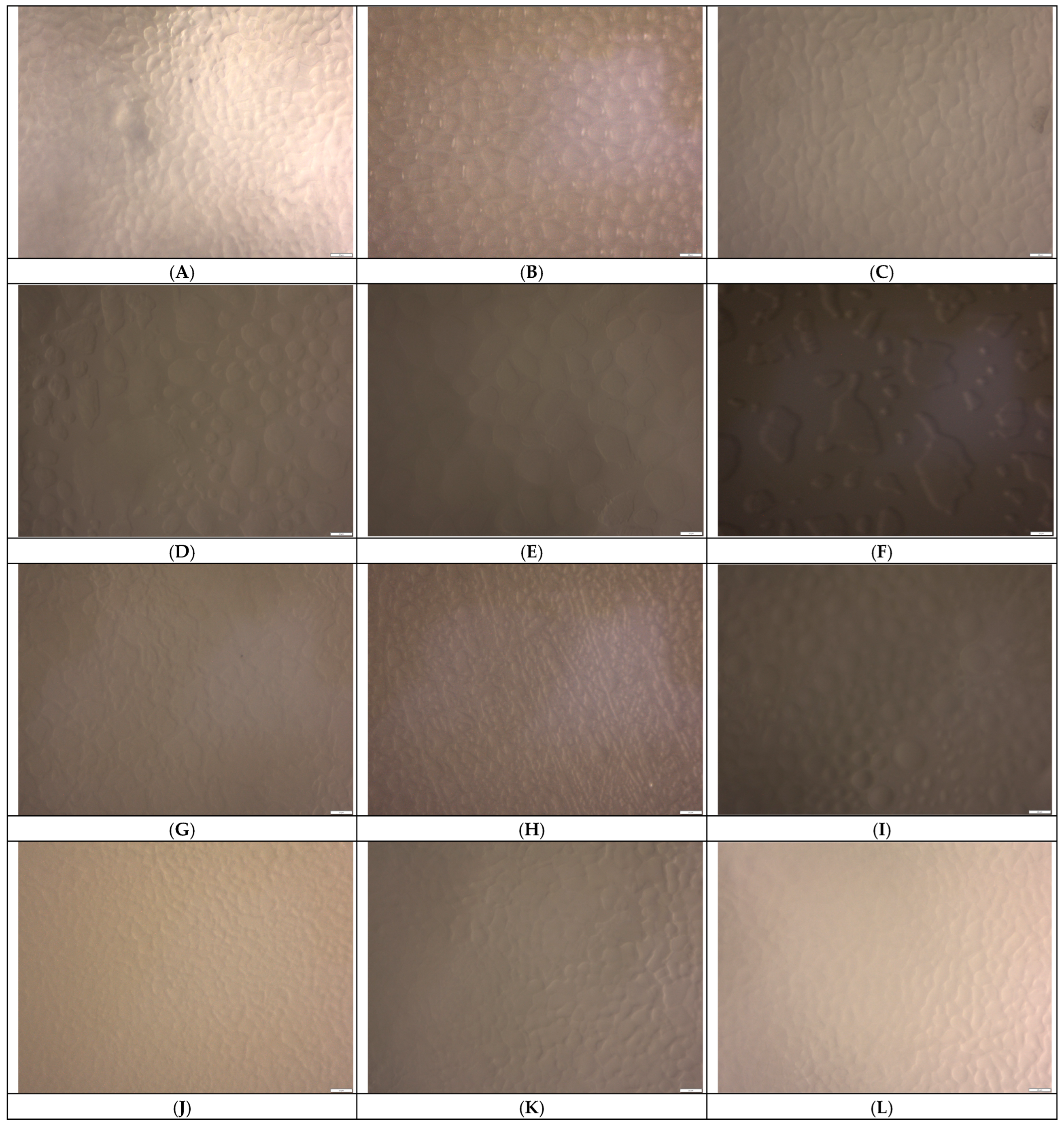 Foods 14 02184 g002a