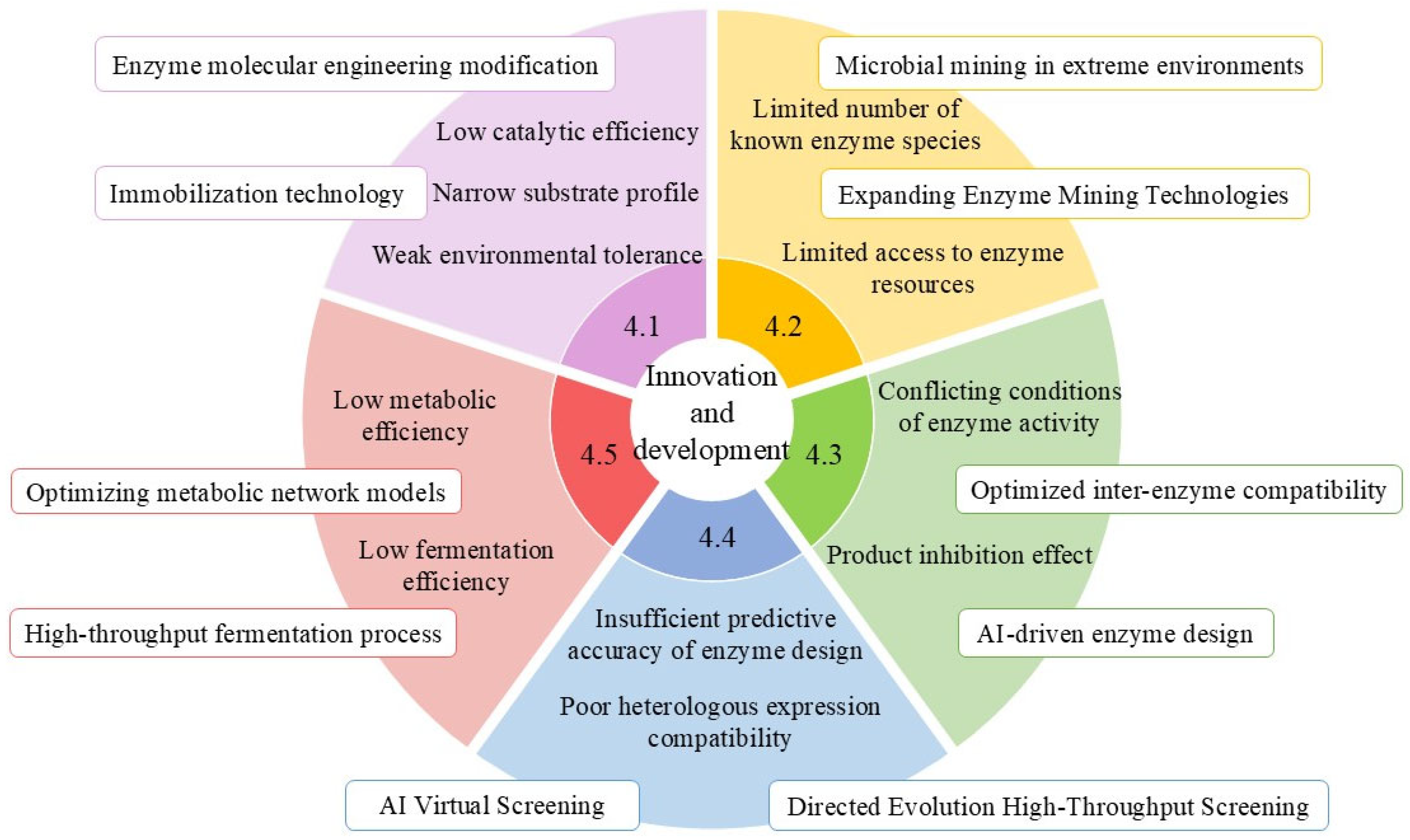 cacao   Biotransformation of Phenolic Acids in Foods: Pathways, Key