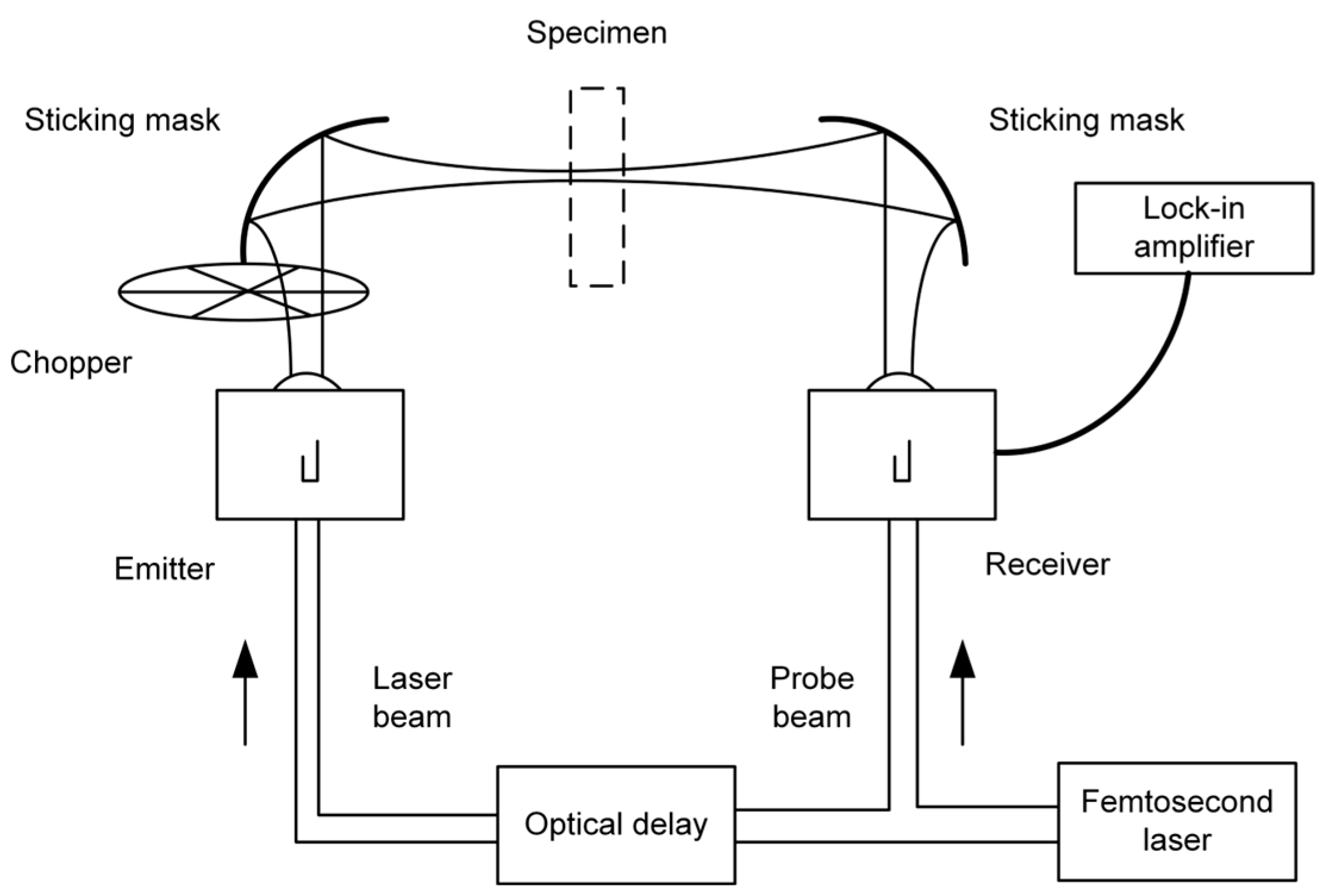 Foods 14 02199 g004 Foods 14 02199 g004