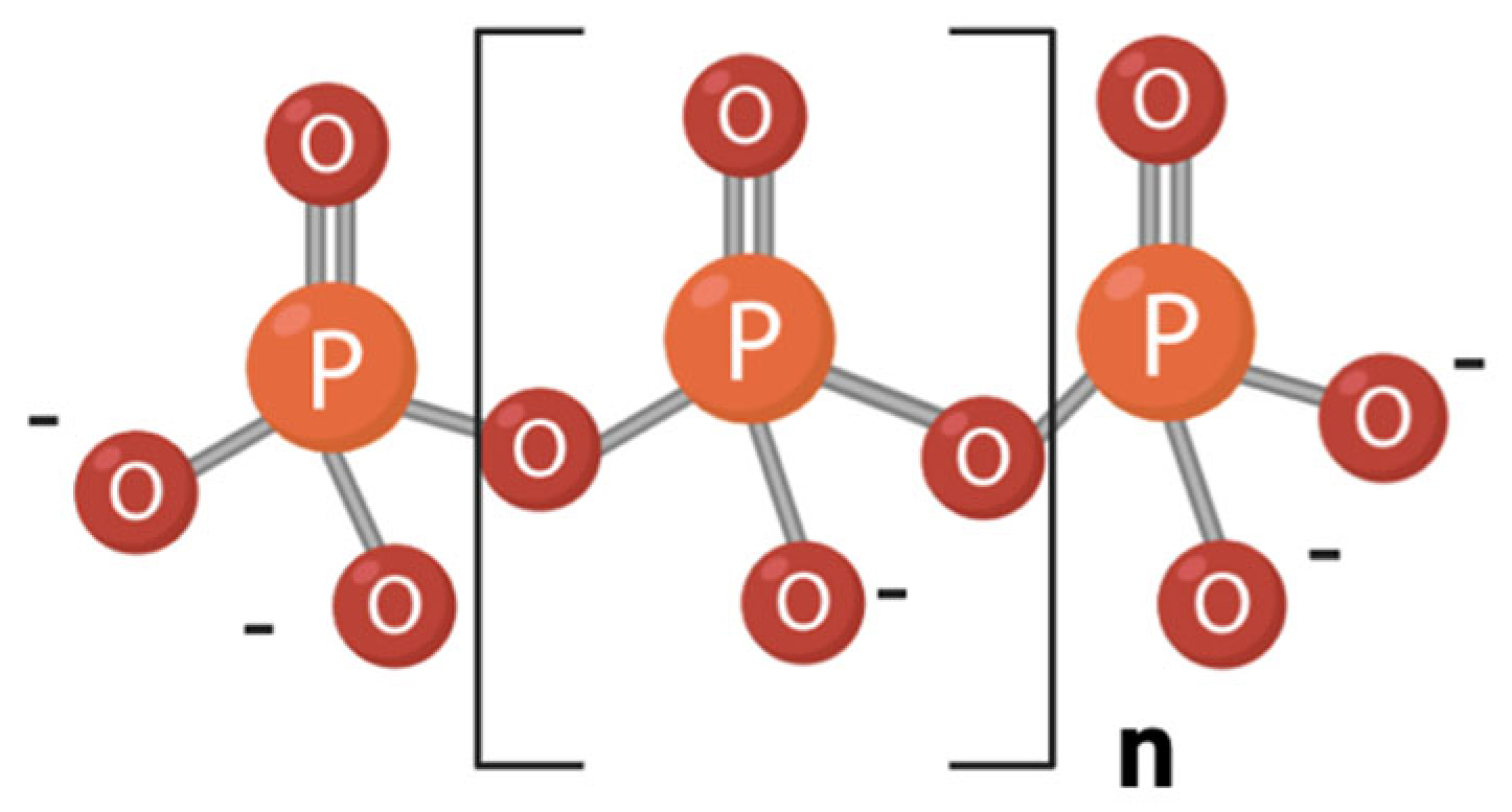Foods 14 02211 g001 Foods 14 02211 g001