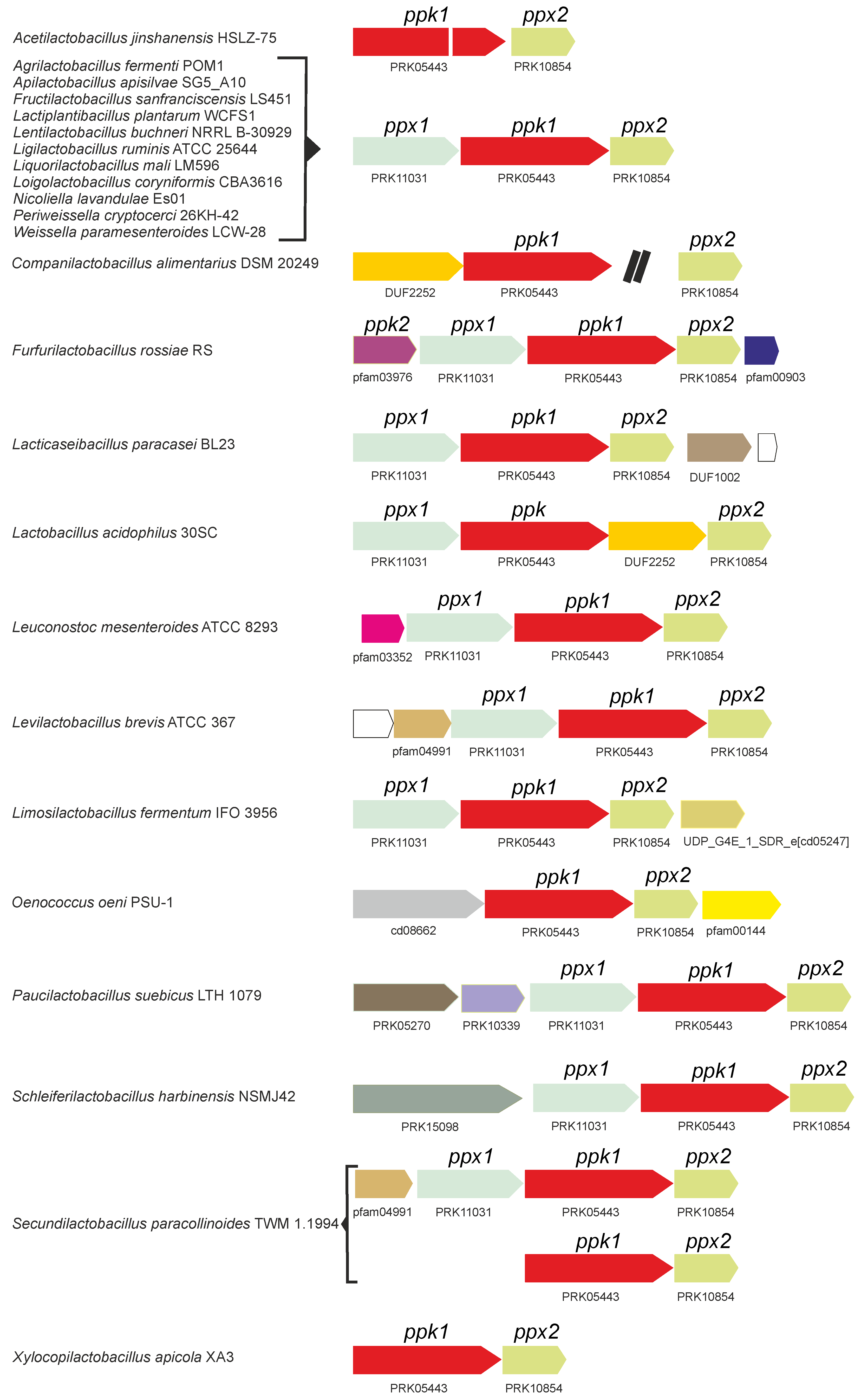 Foods 14 02211 g002 Foods 14 02211 g002
