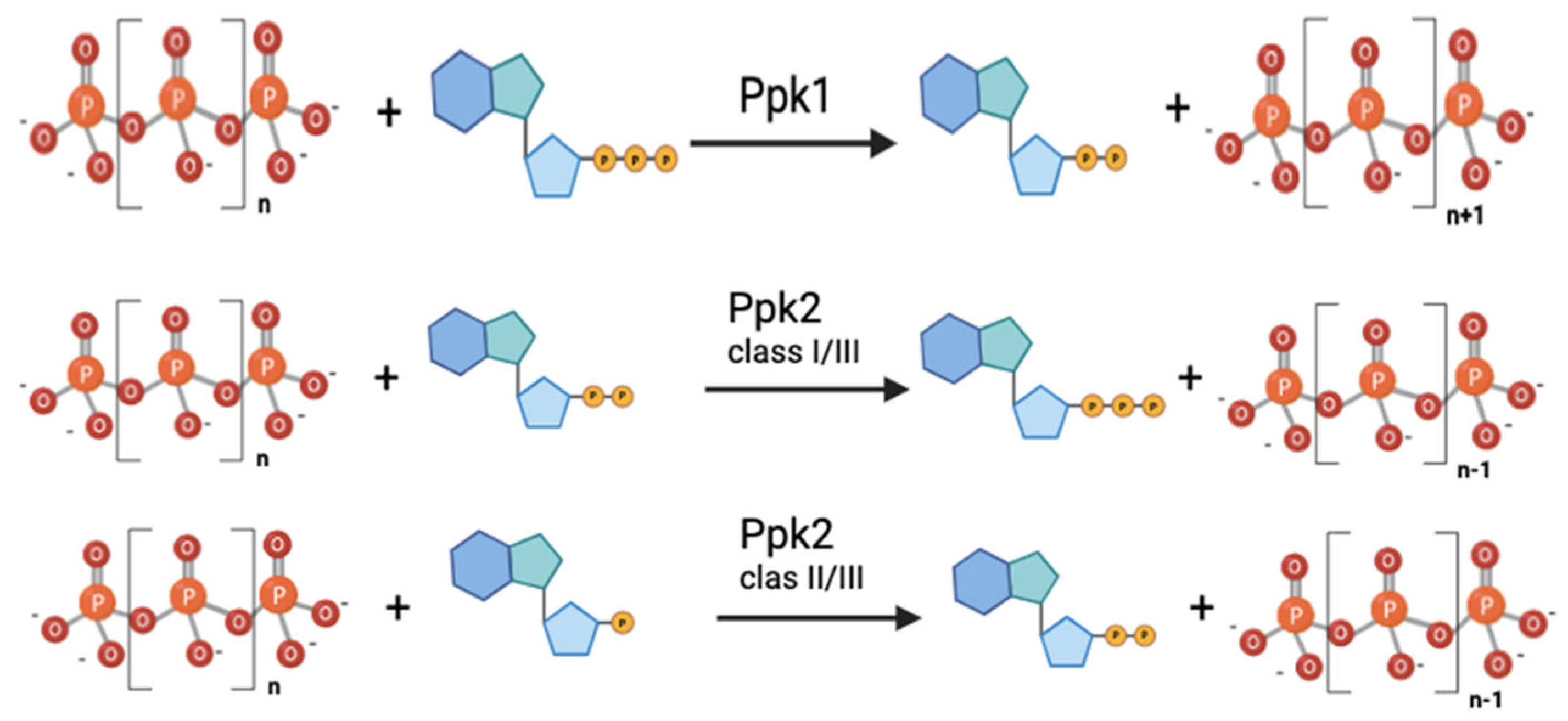 Foods 14 02211 g004 Foods 14 02211 g004