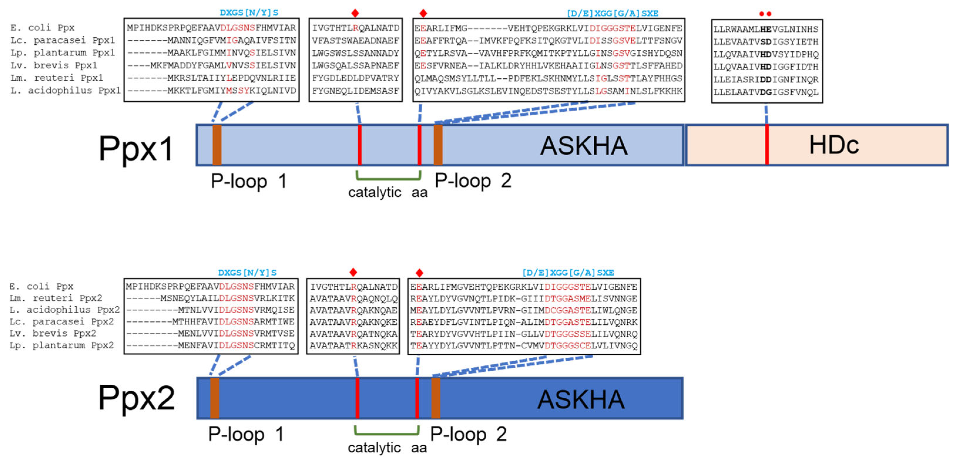 Foods 14 02211 g006 Foods 14 02211 g006