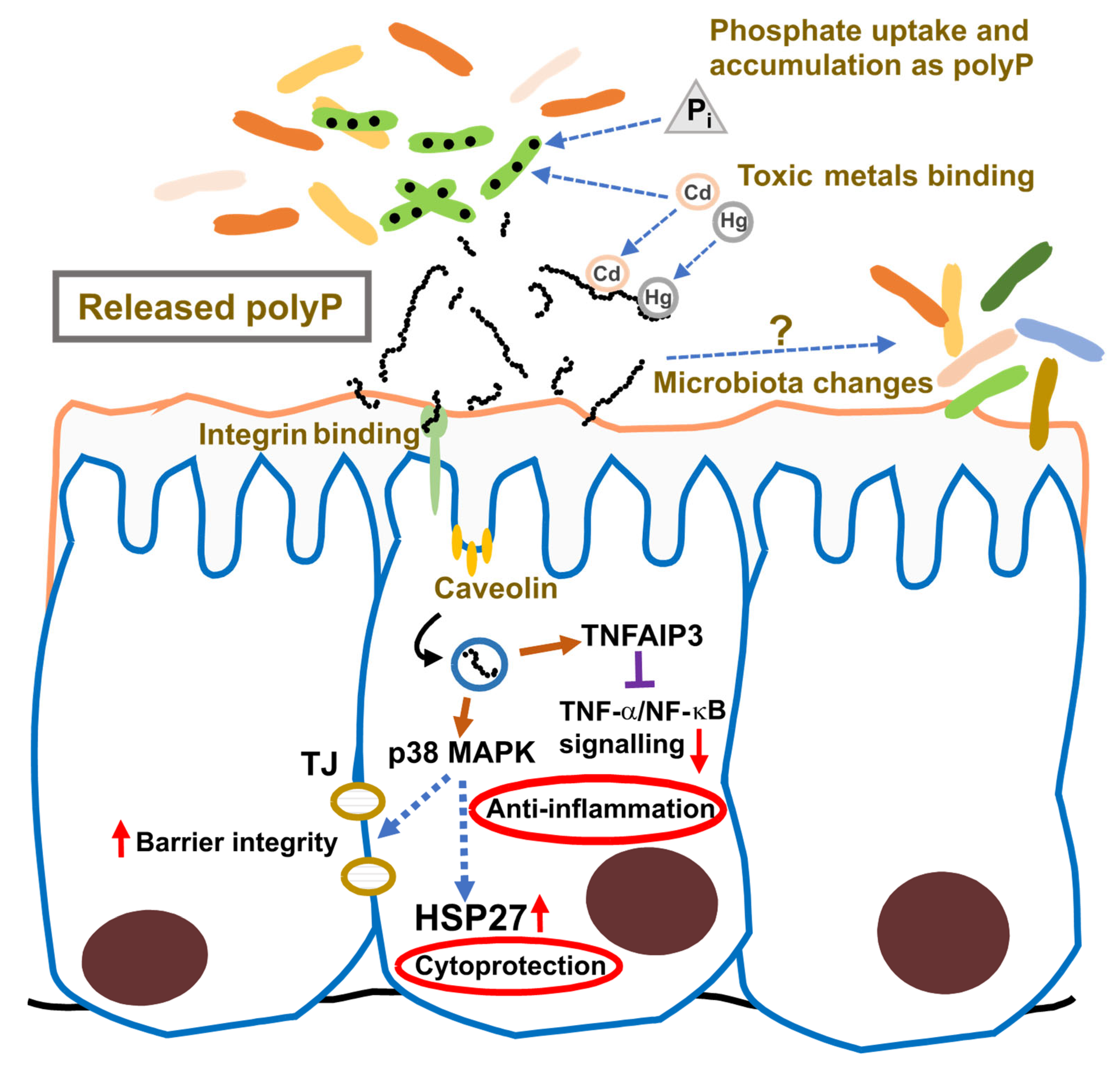 Foods 14 02211 g009 Foods 14 02211 g009