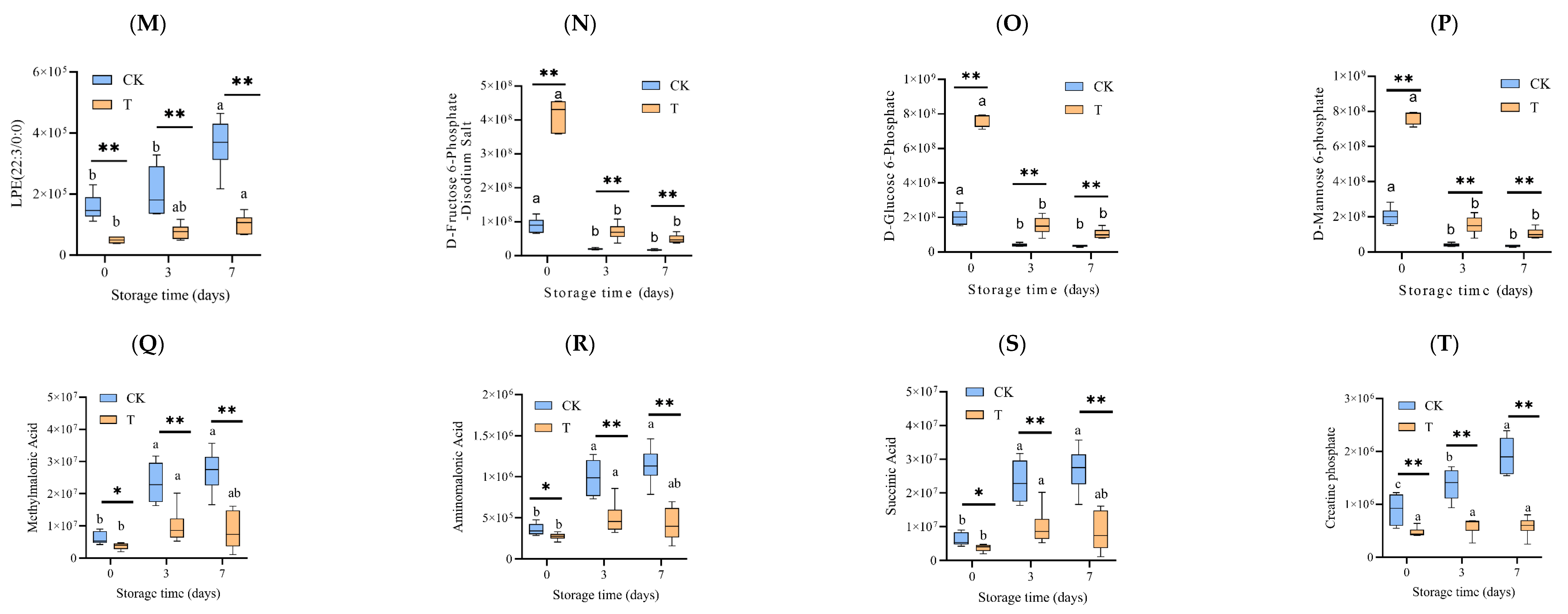 Foods 14 02236 g006b