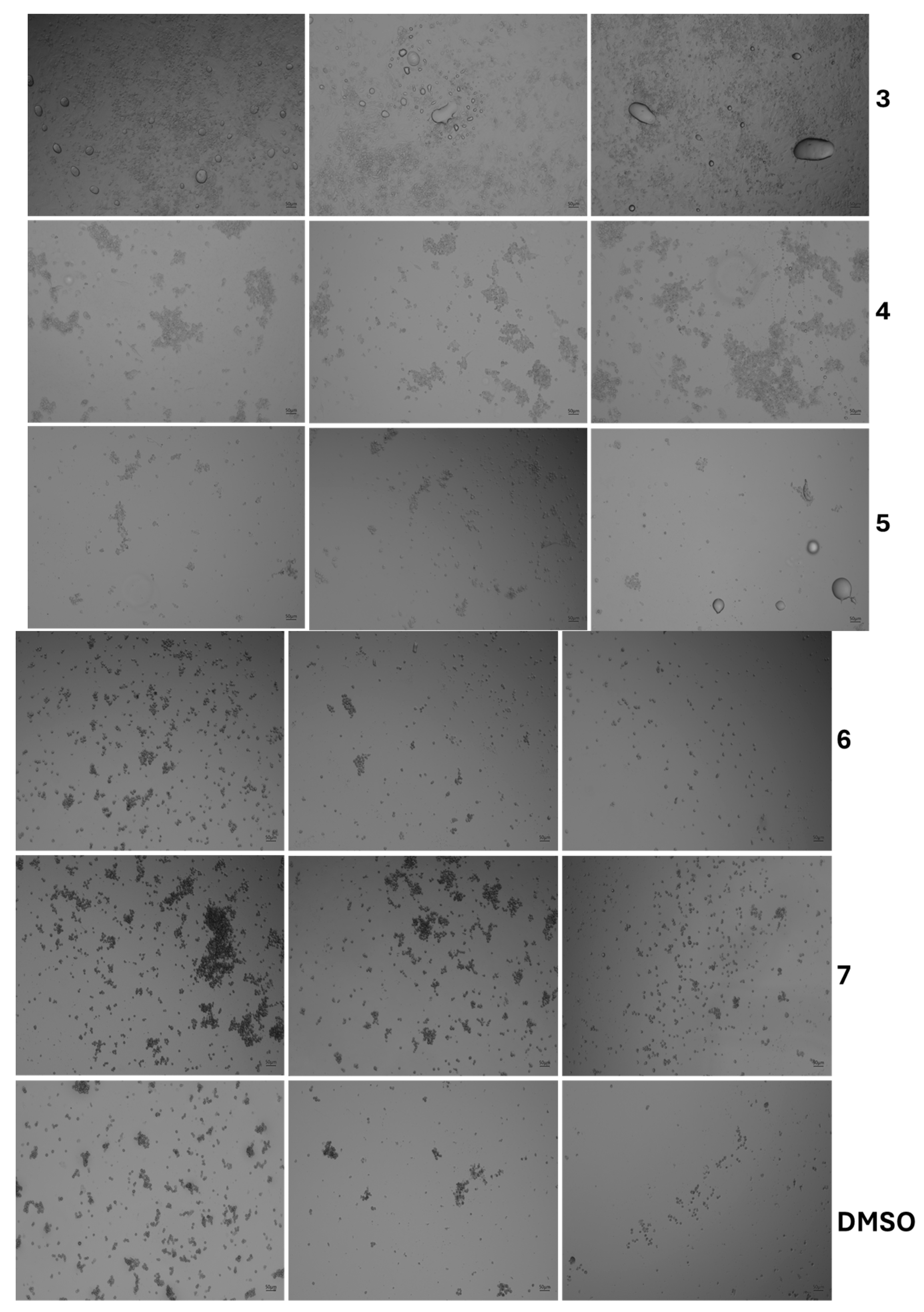 Foods 14 02247 g005b