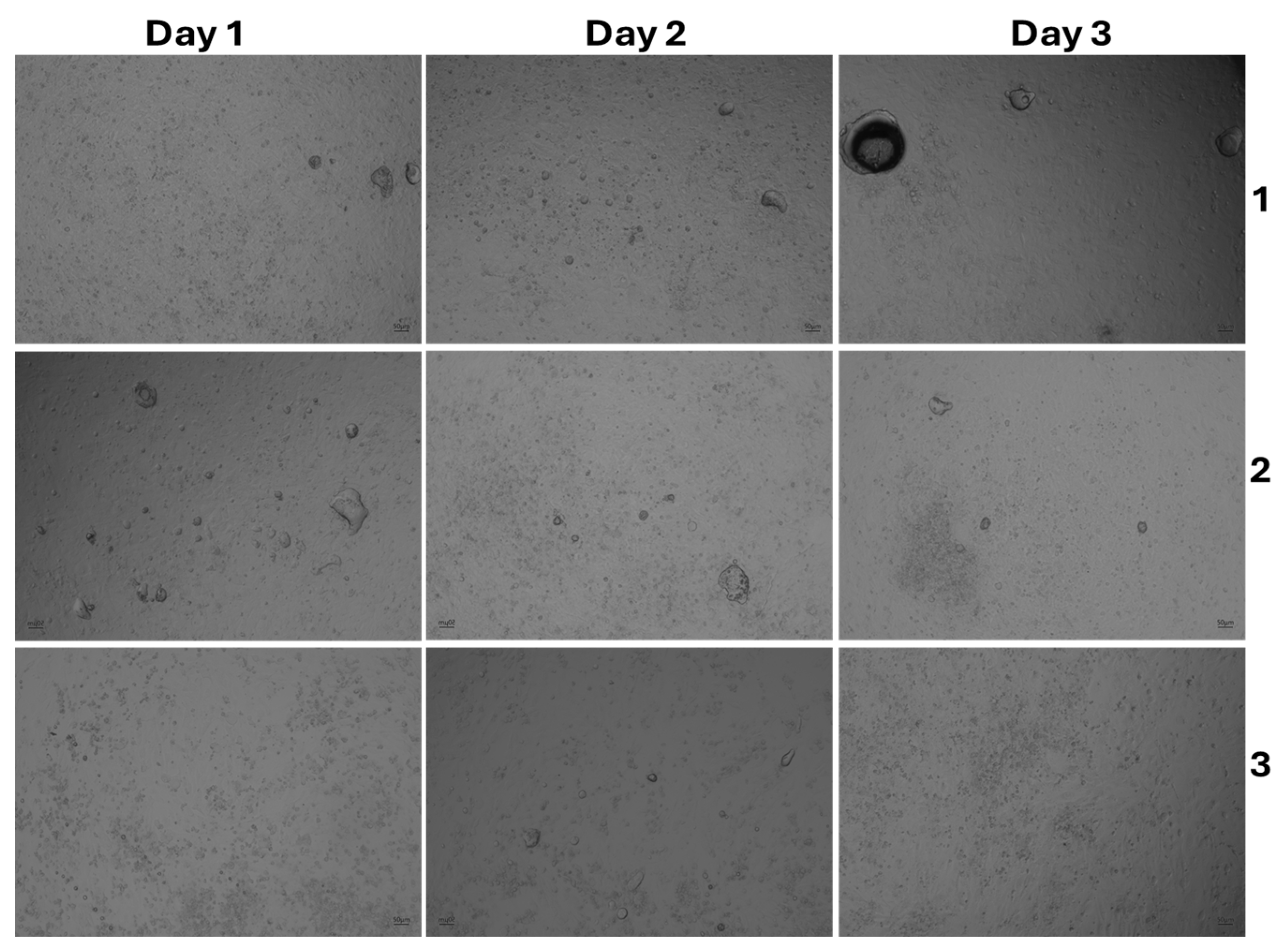 Foods 14 02247 g006a