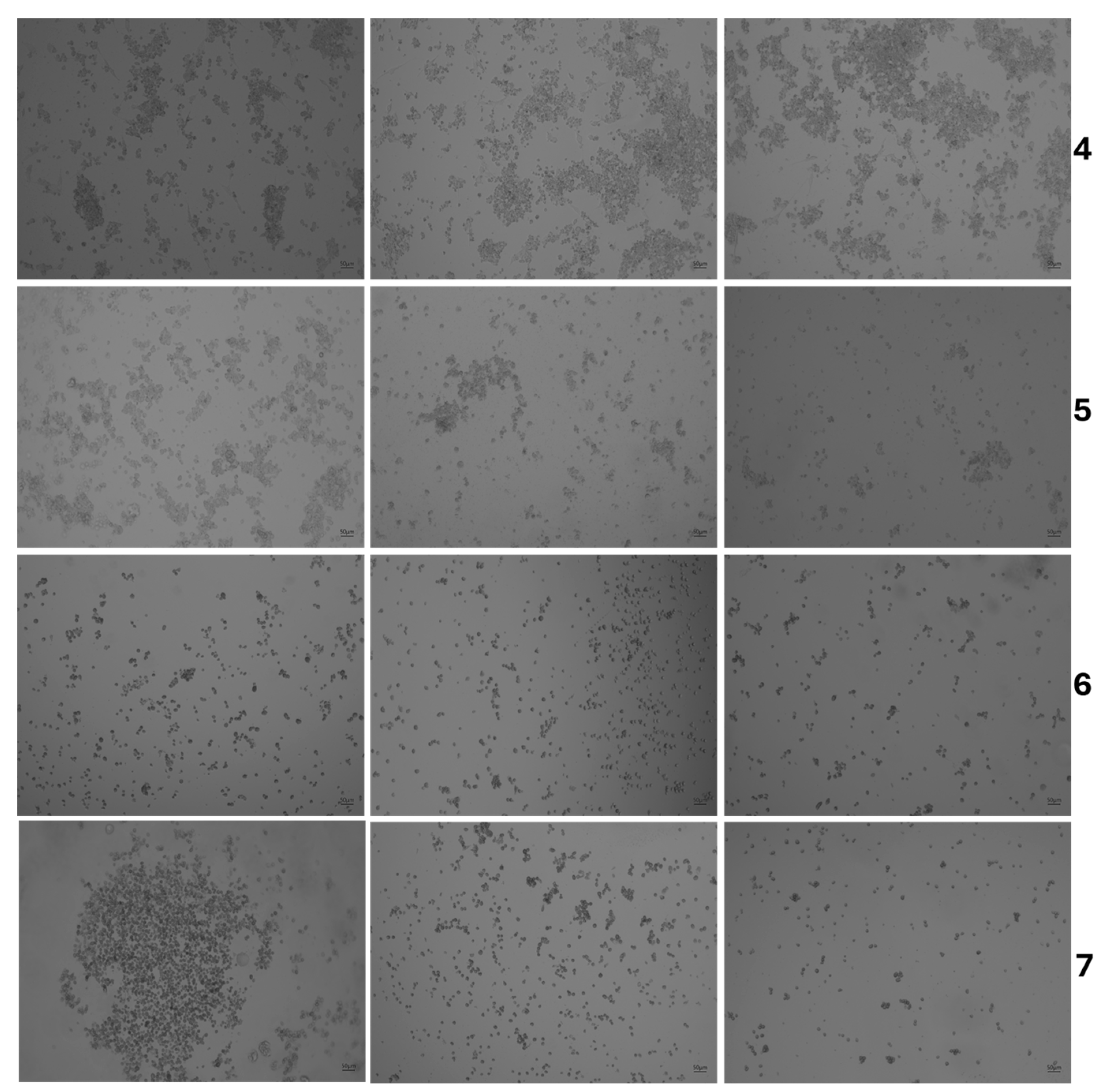 Foods 14 02247 g006b