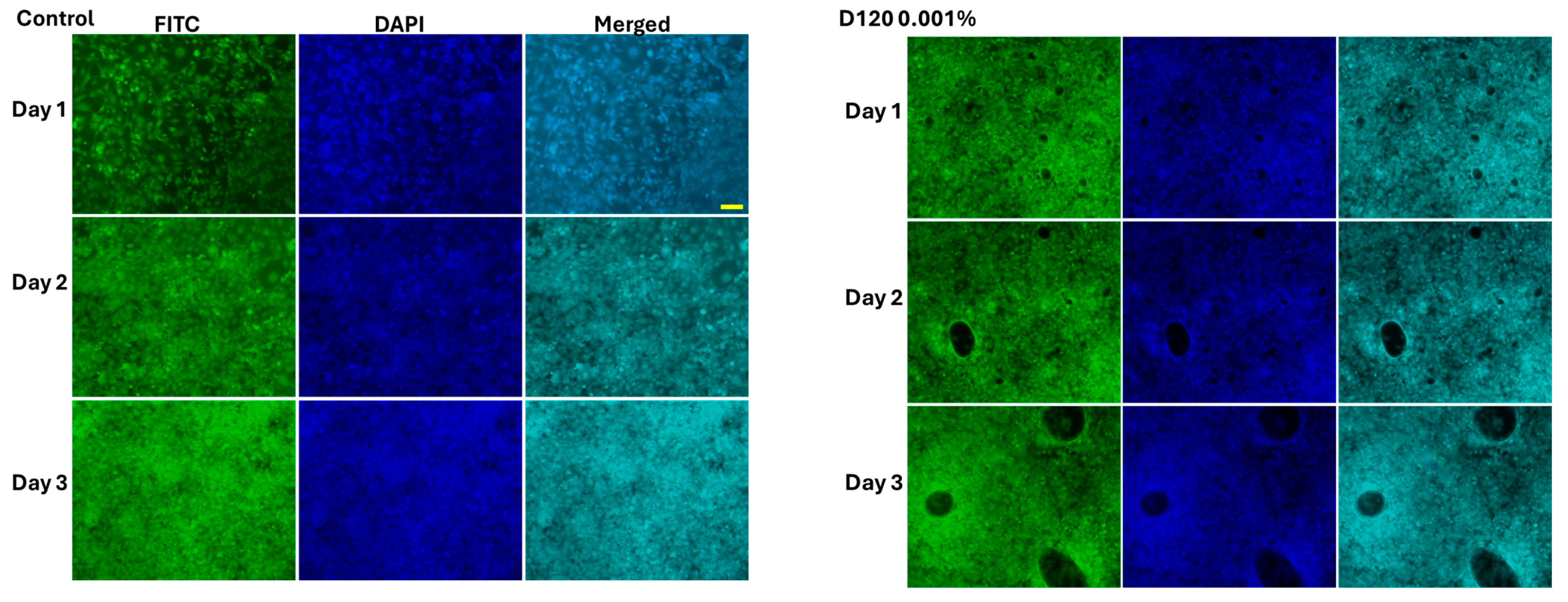 Foods 14 02247 g007a