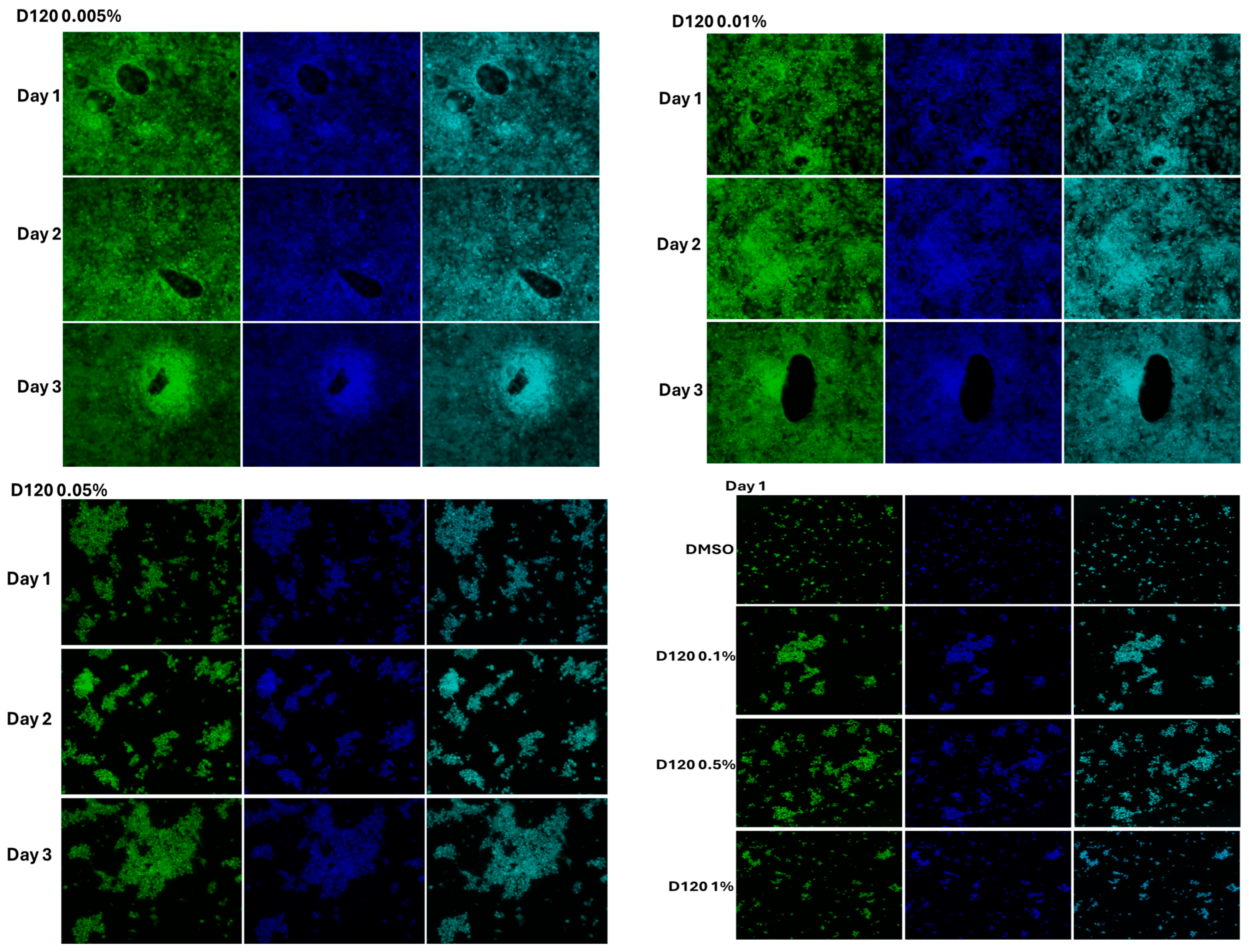 Foods 14 02247 g007b