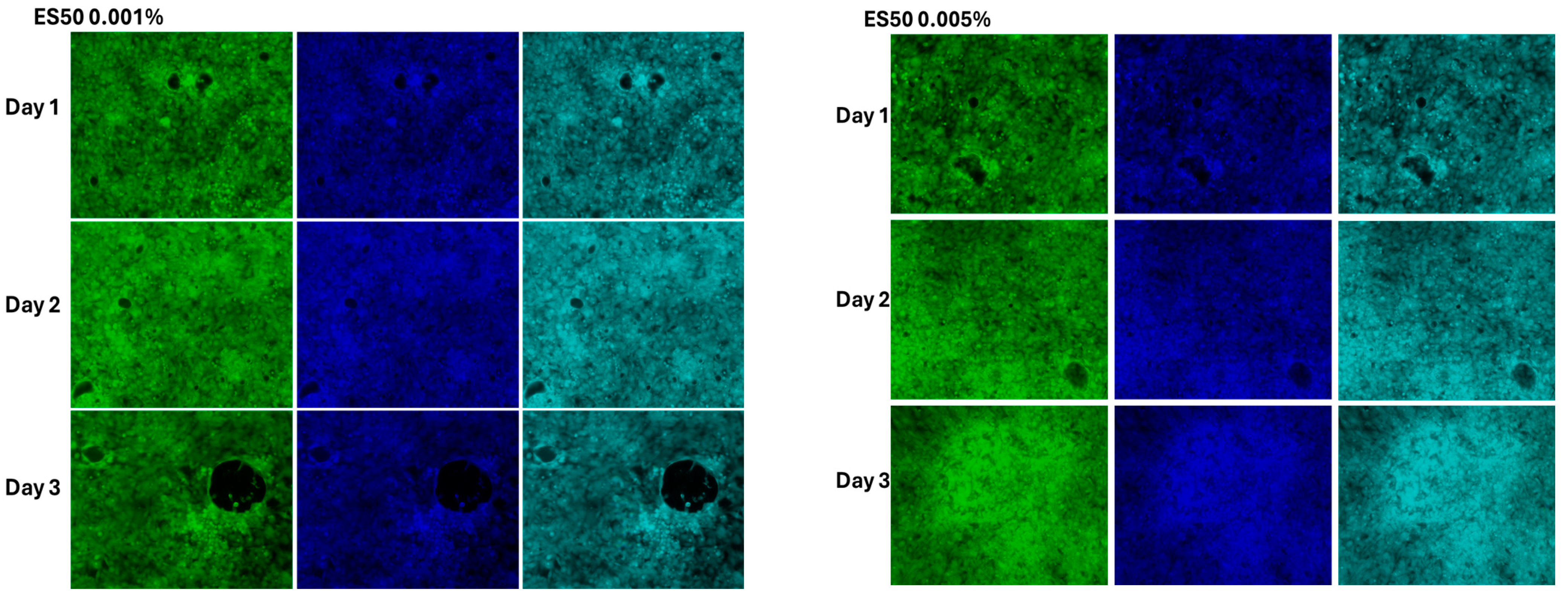 Foods 14 02247 g008a