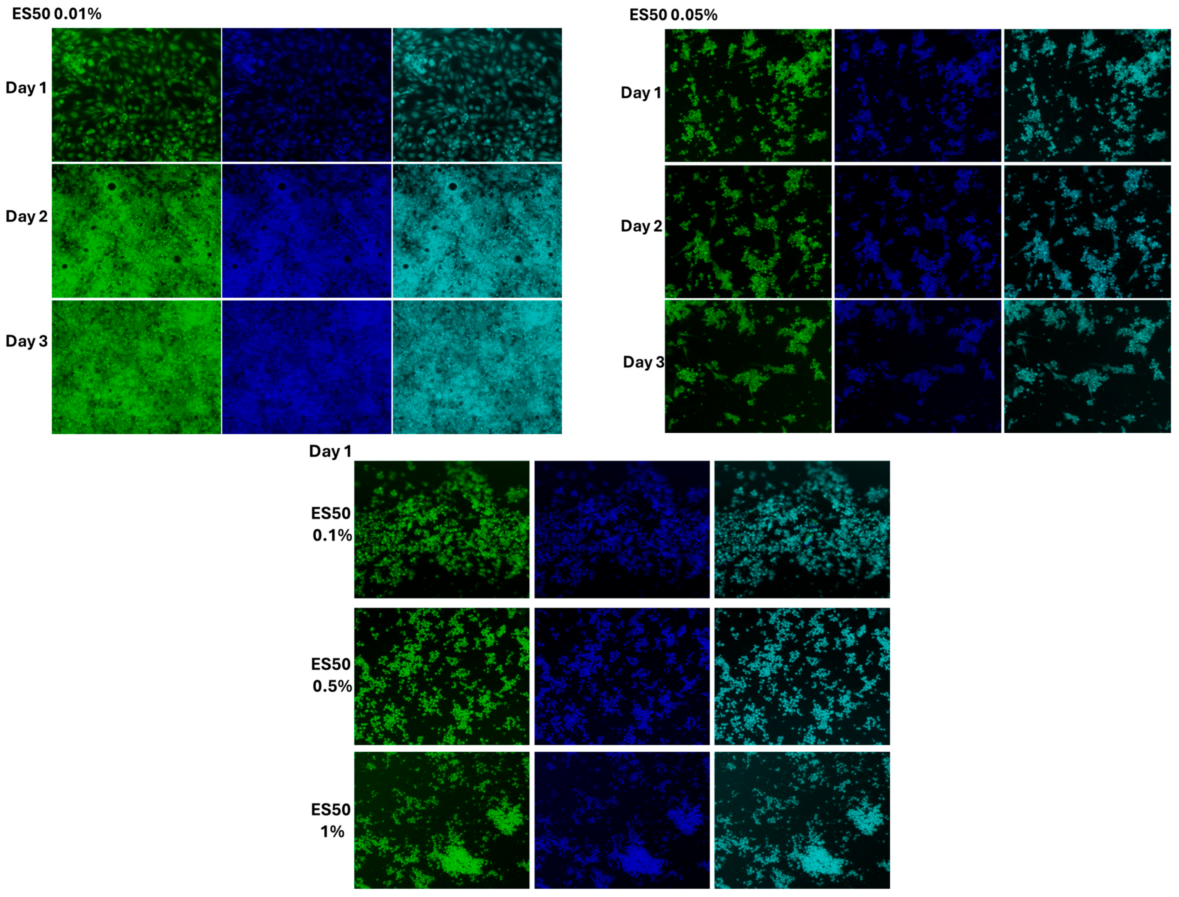Foods 14 02247 g008b