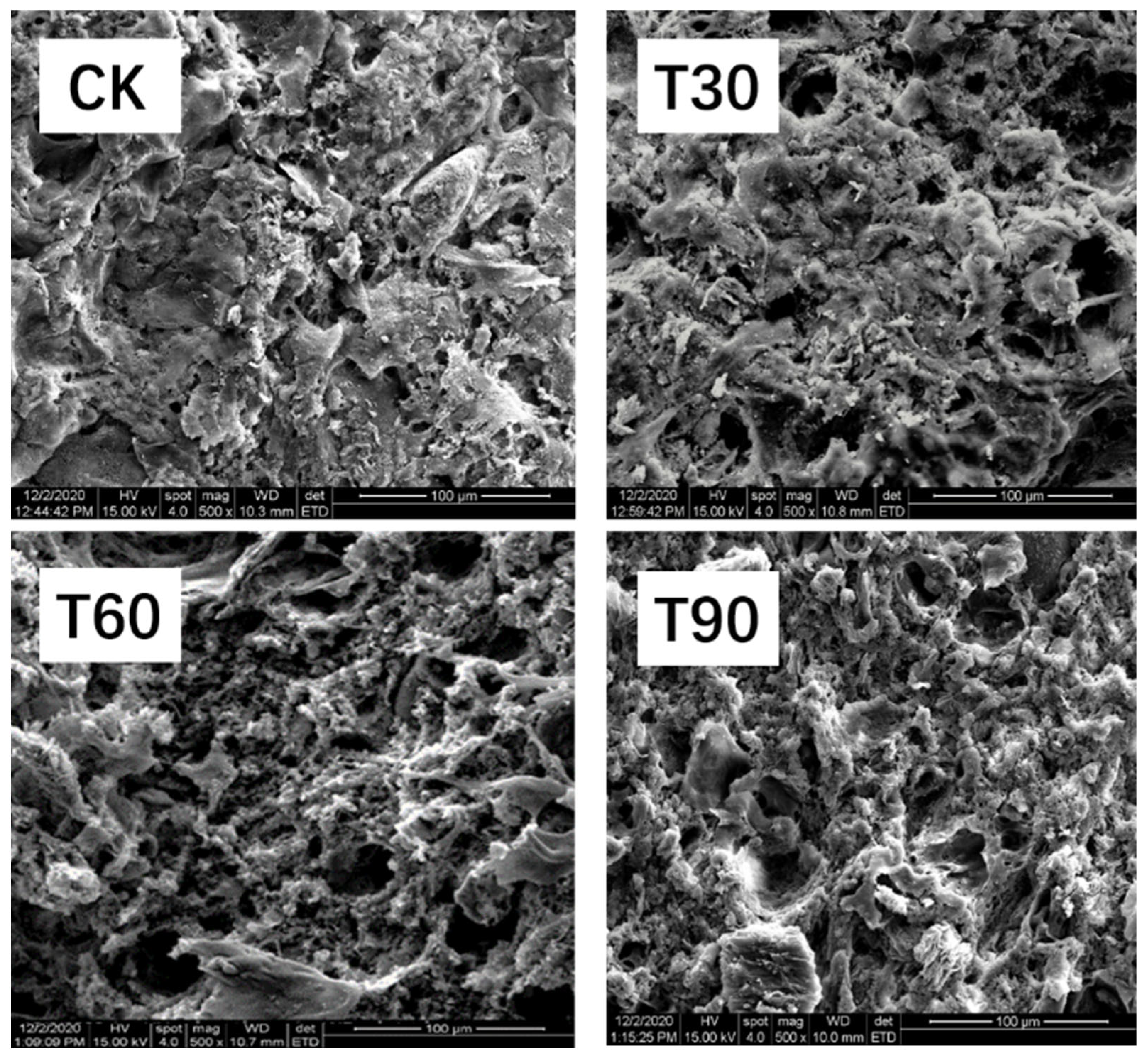 Foods 14 02296 g002 Foods 14 02296 g002