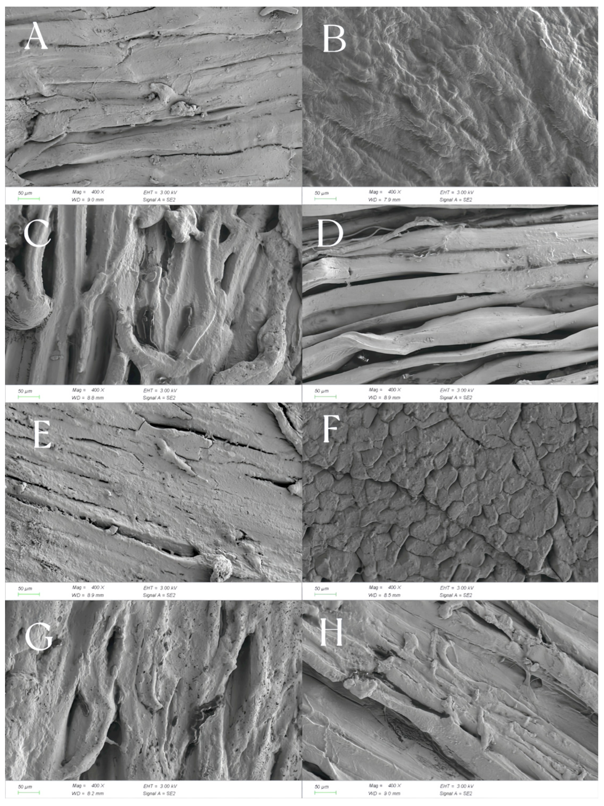 Foods 14 02336 g009 Foods 14 02336 g009