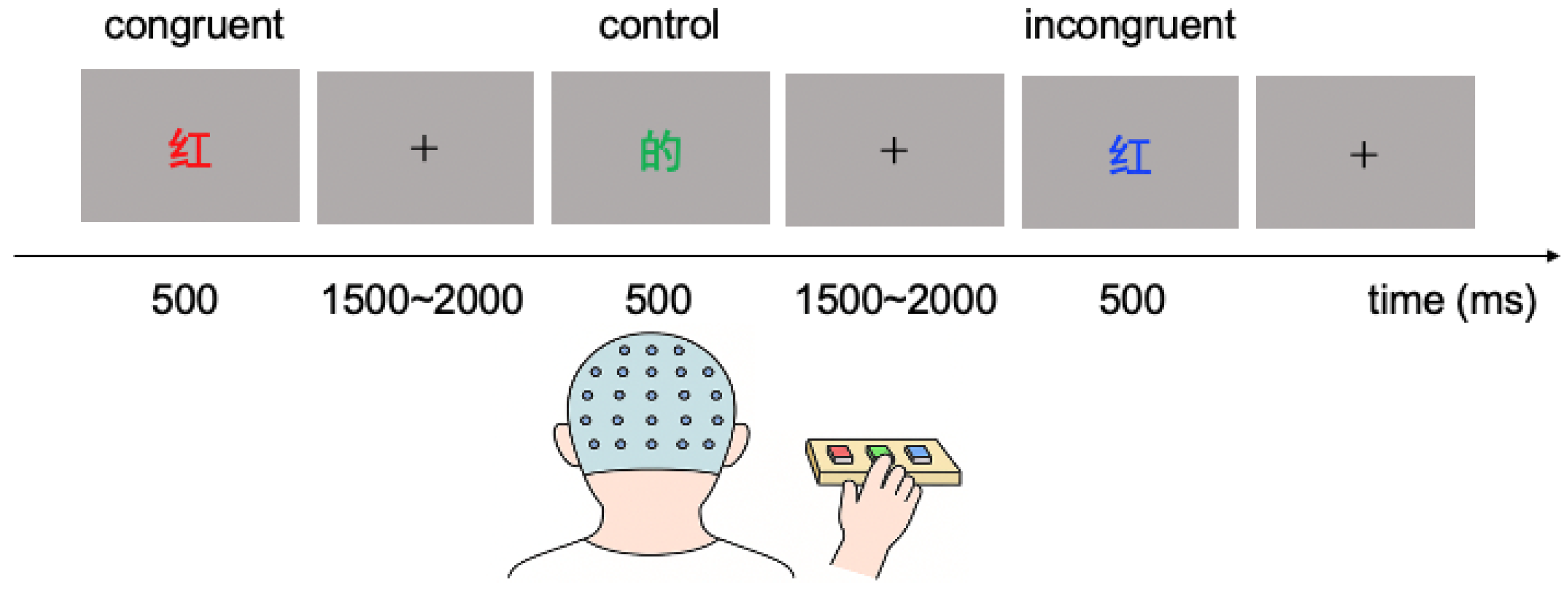 Foods 14 02352 g001 Foods 14 02352 g001