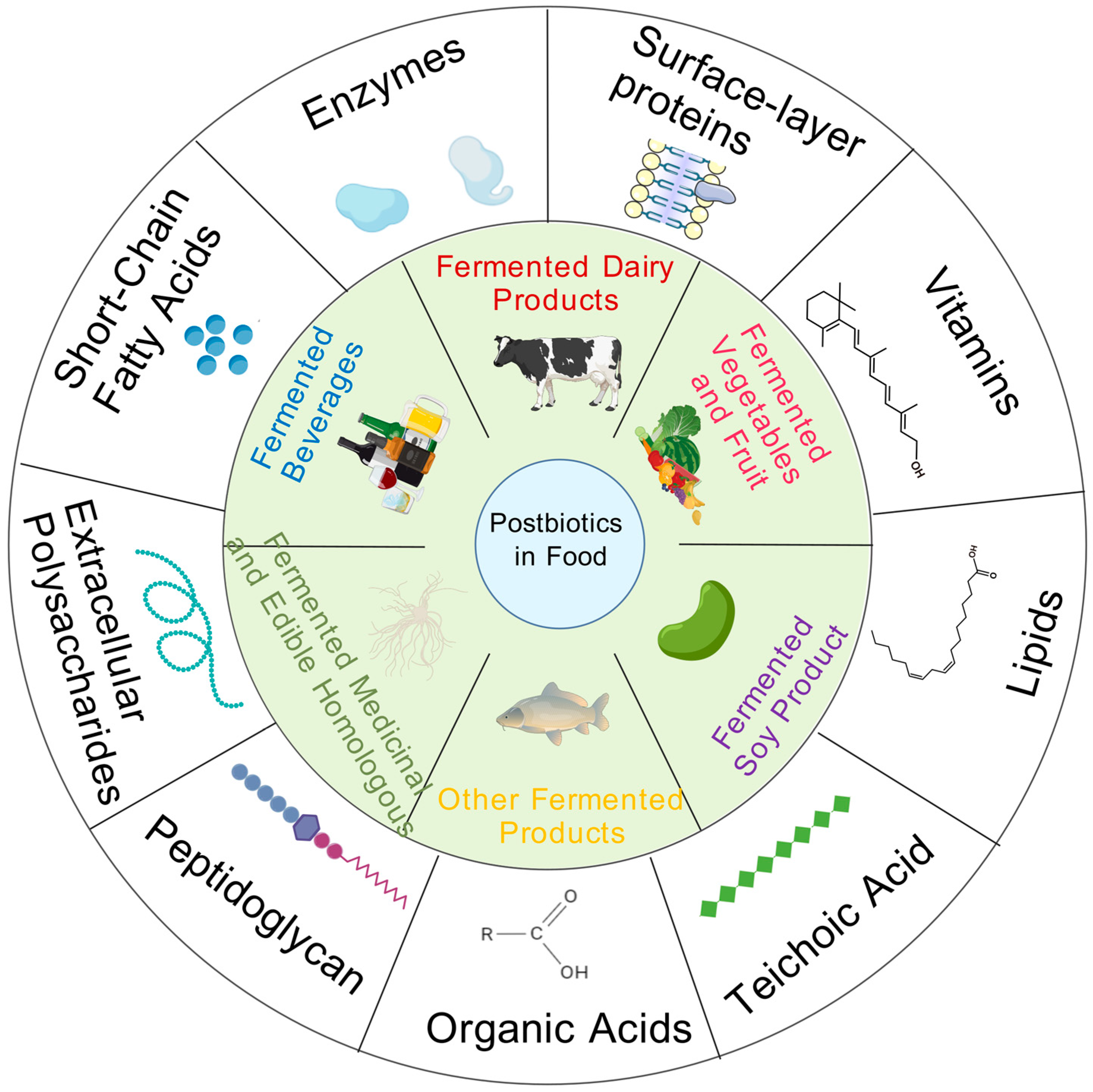 The Role of Inactivation Methods in Shaping Postbiotic