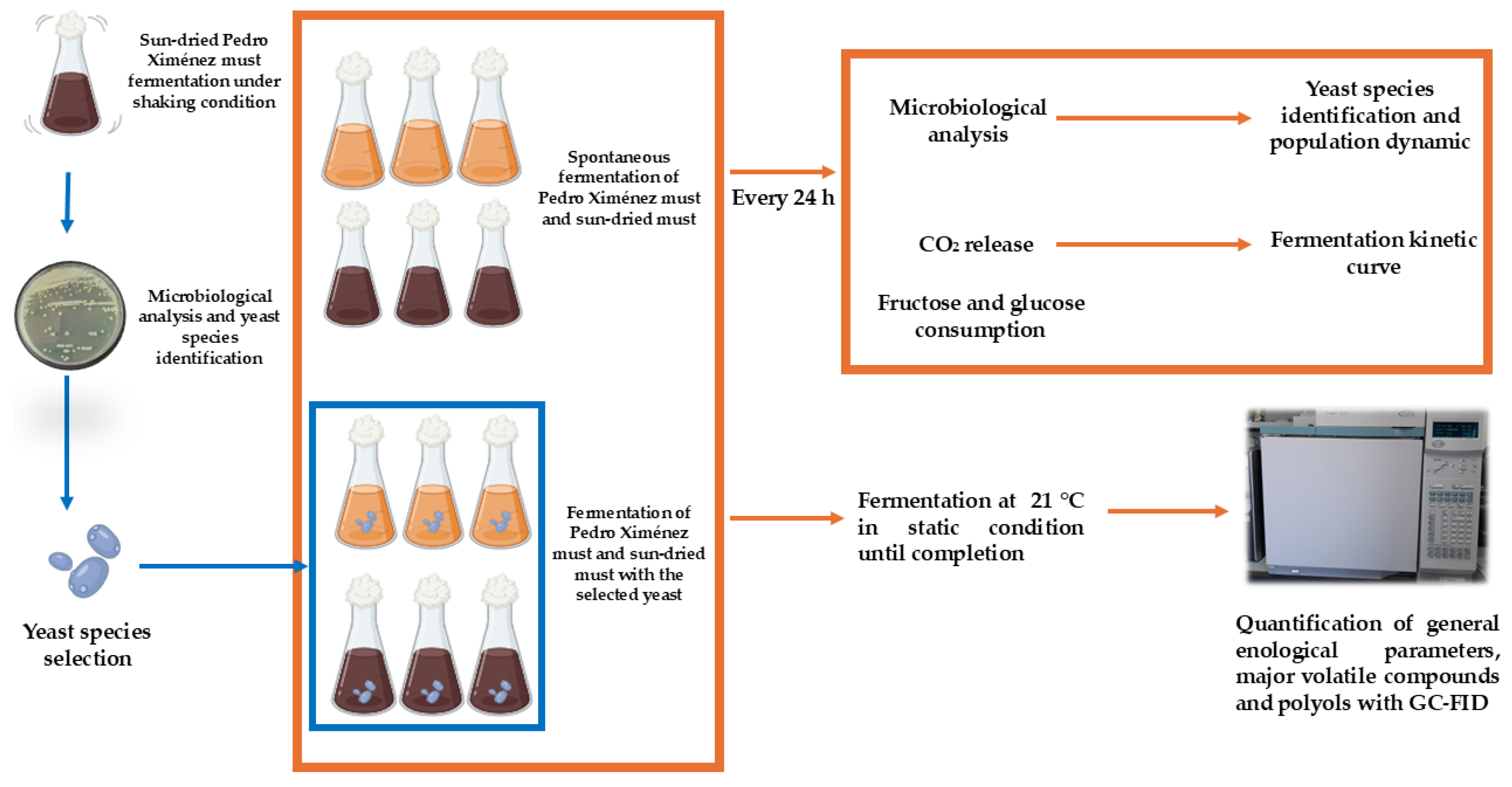Foods 14 02410 g001 Foods 14 02410 g001