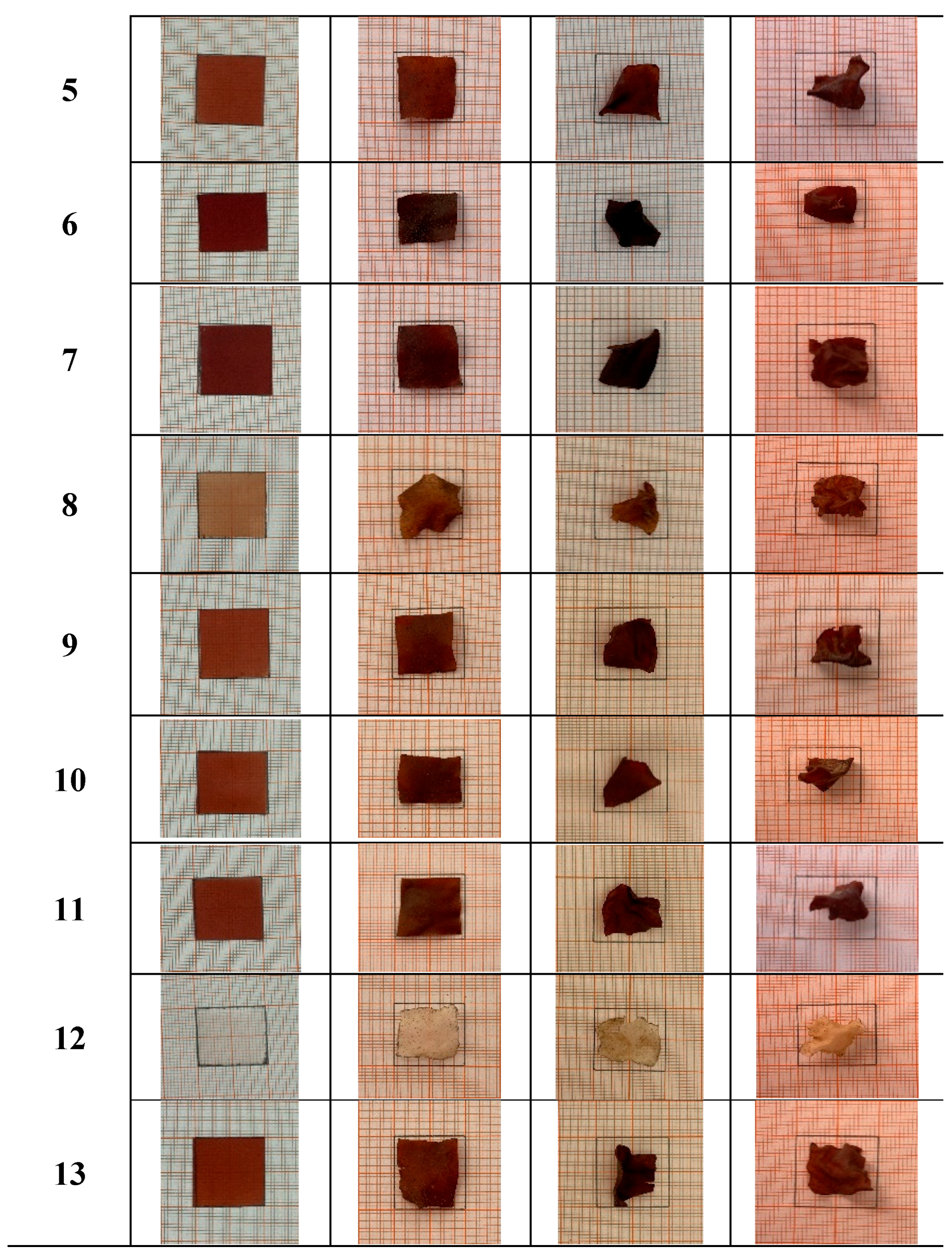Foods 14 02414 g005b