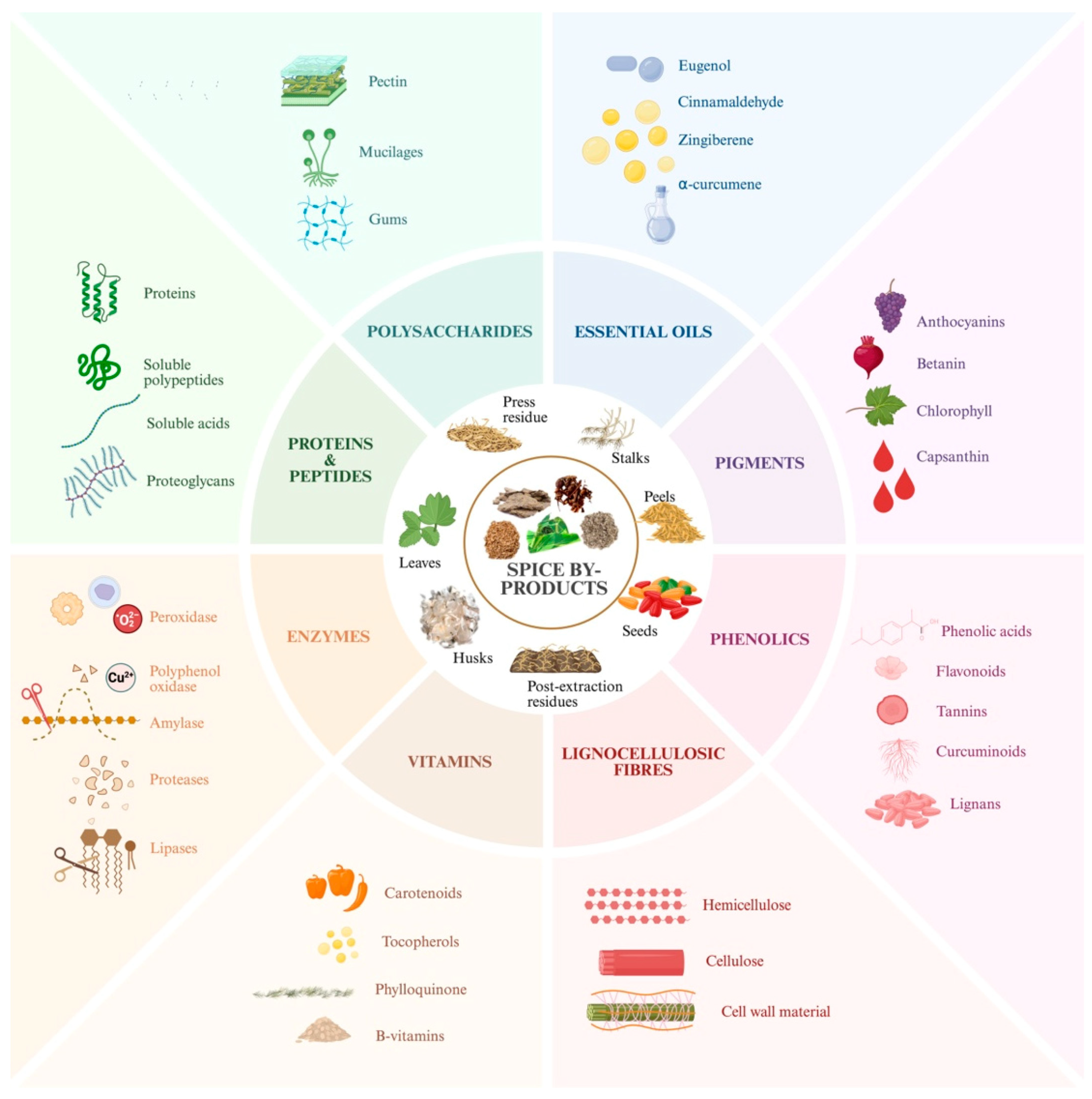 Foods 14 02445 g001 Foods 14 02445 g001