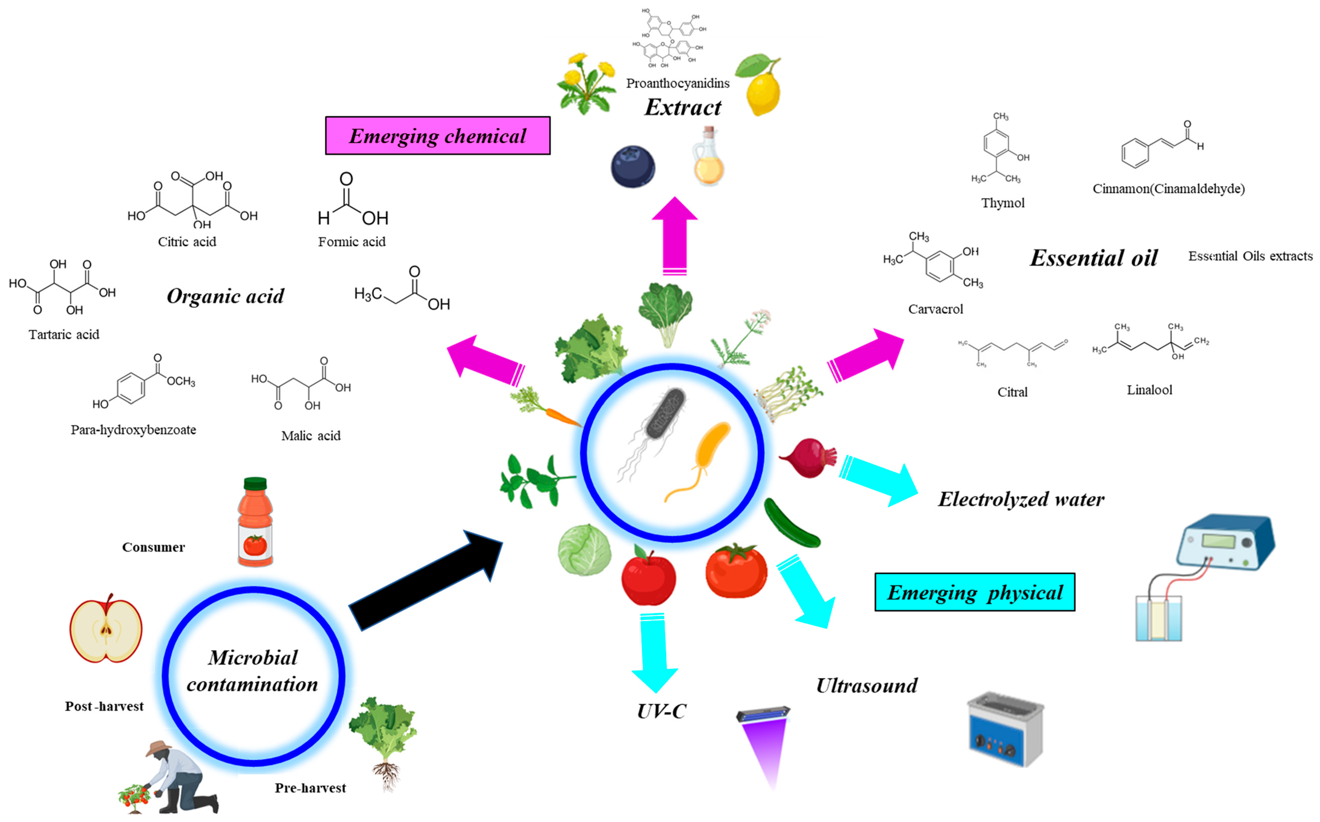 Foods 14 02463 g001 Foods 14 02463 g001
