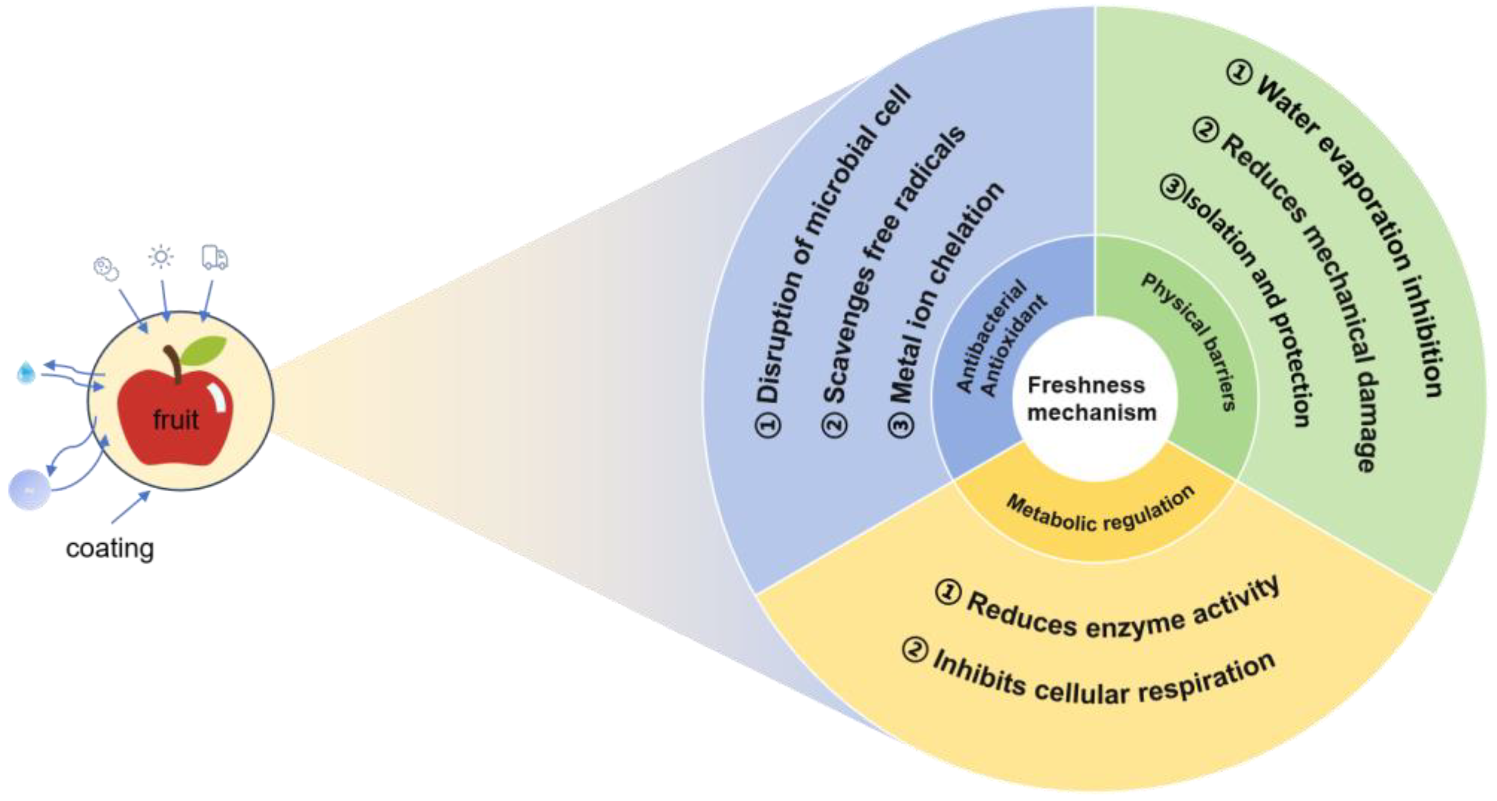 Recent Advances in the Application Technologies of Surface