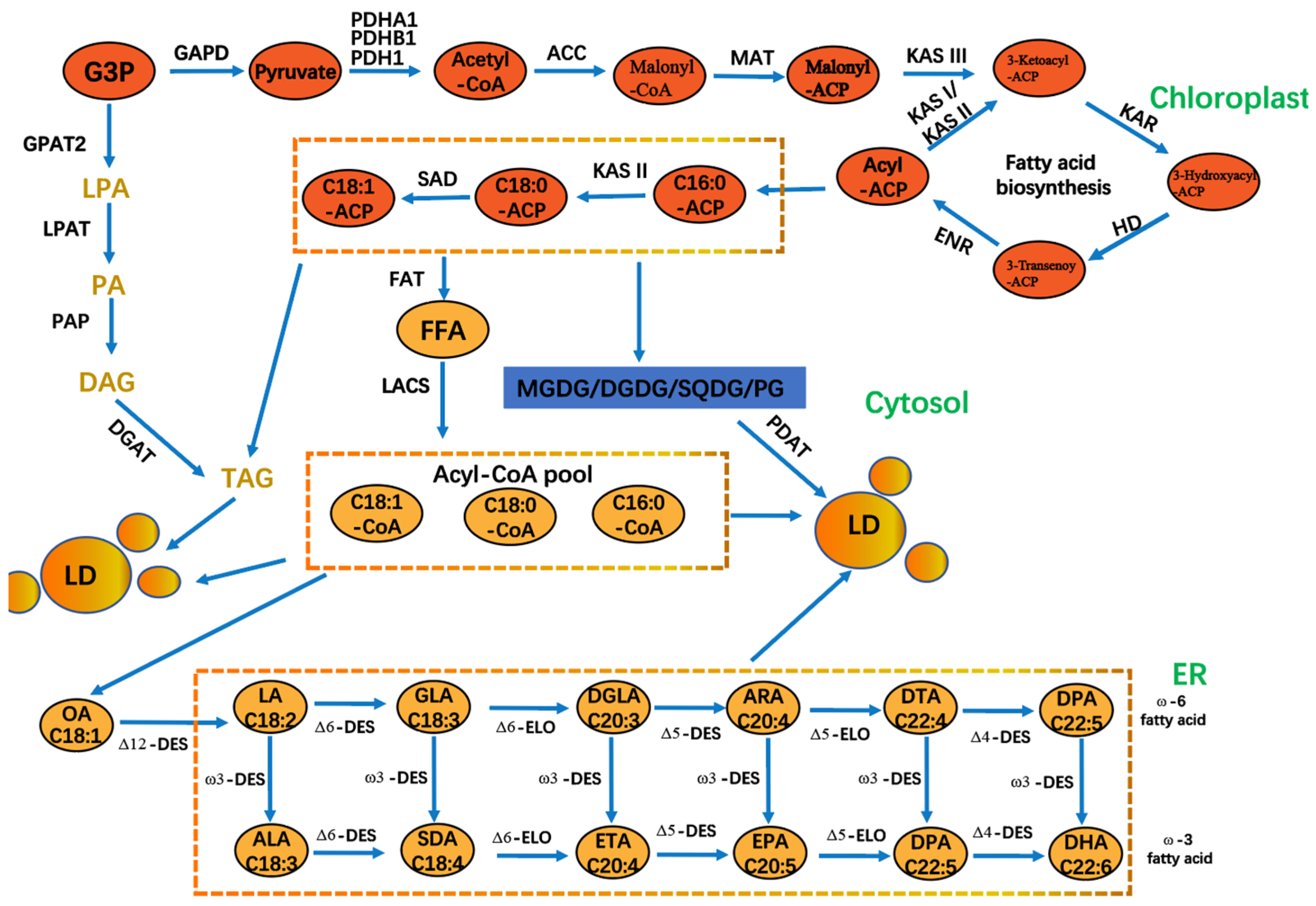 Foods 14 02500 g003 Foods 14 02500 g003