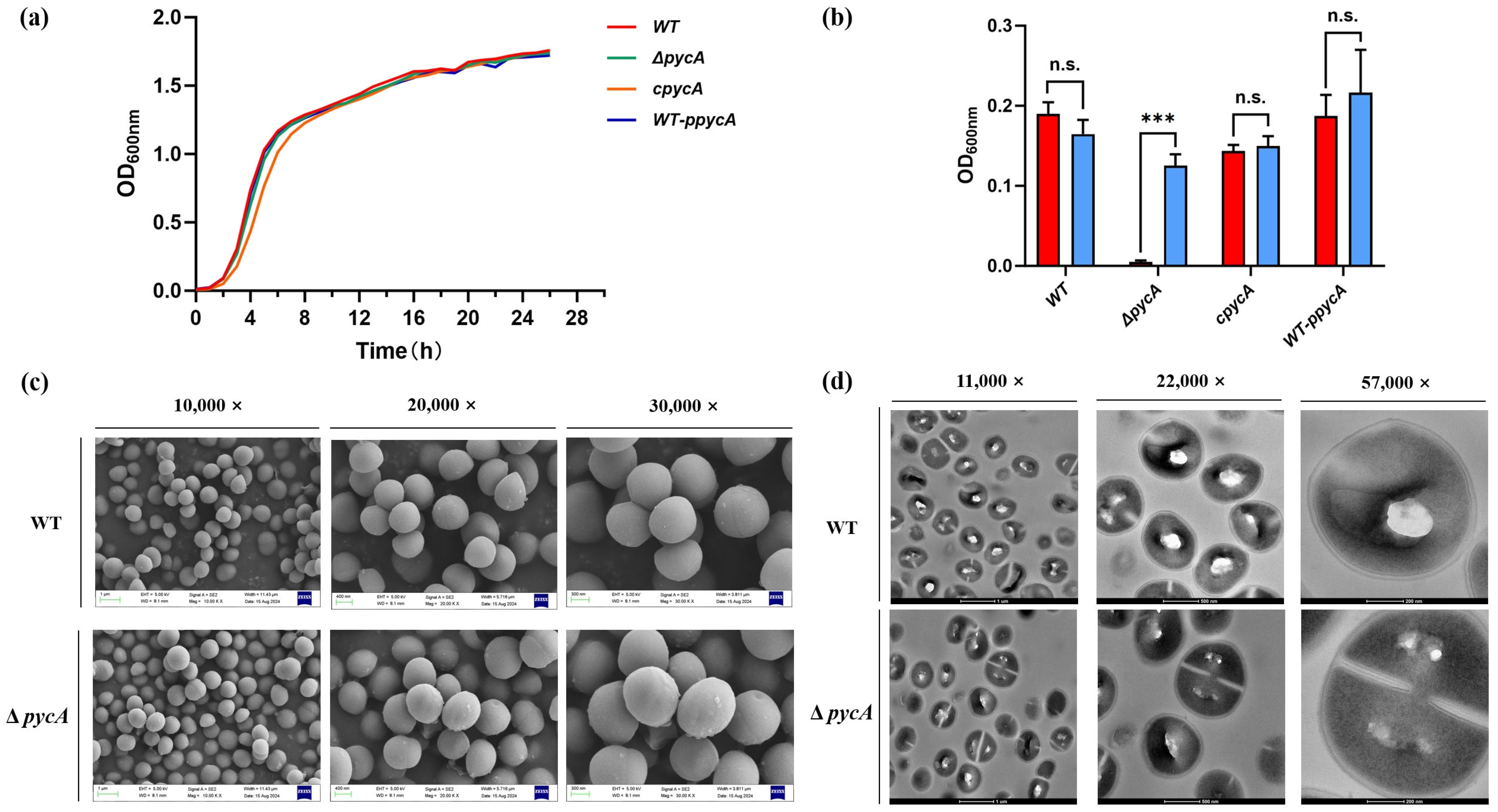 Foods 14 02566 g001 Foods 14 02566 g001