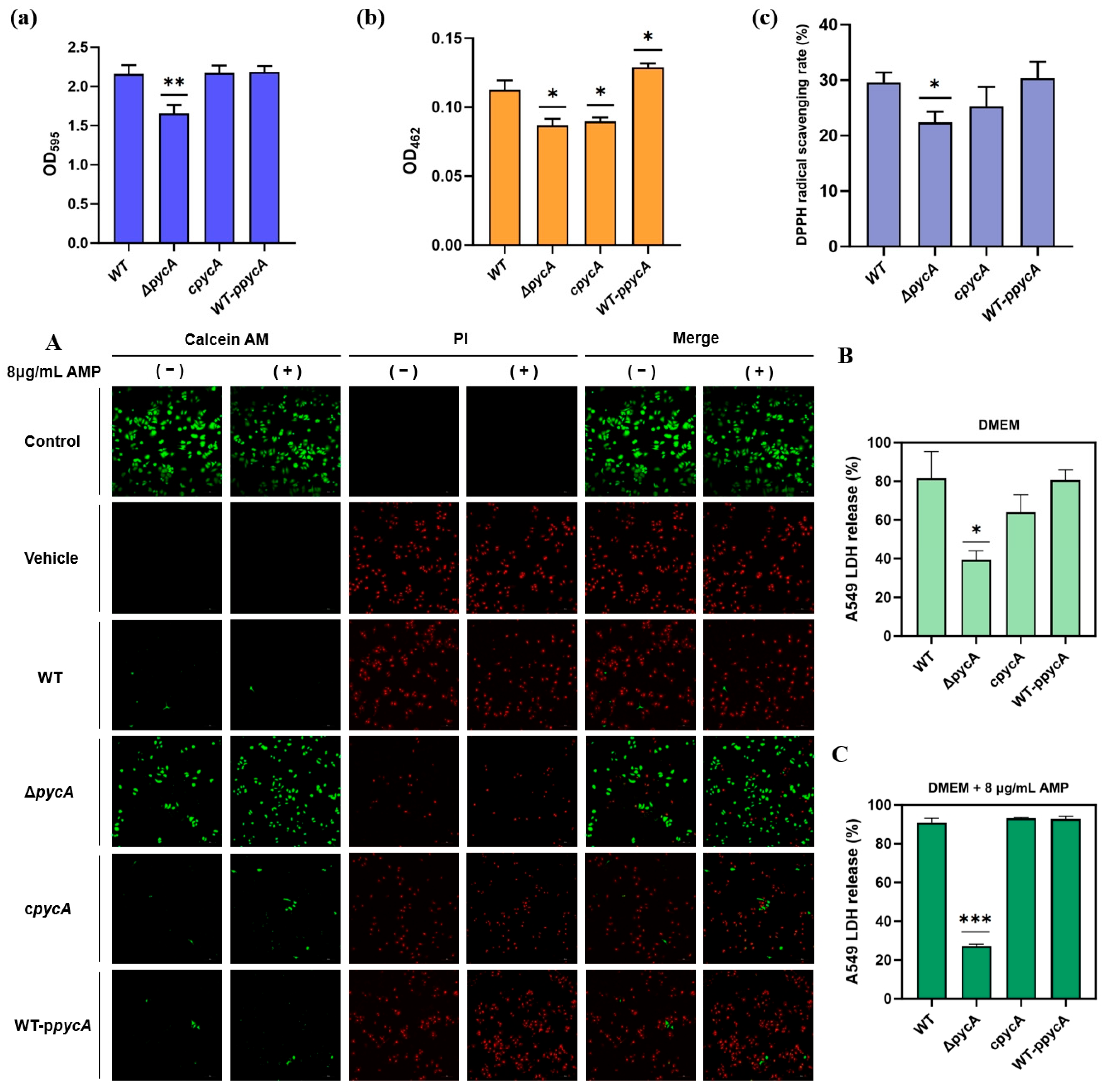 Foods 14 02566 g002 Foods 14 02566 g002
