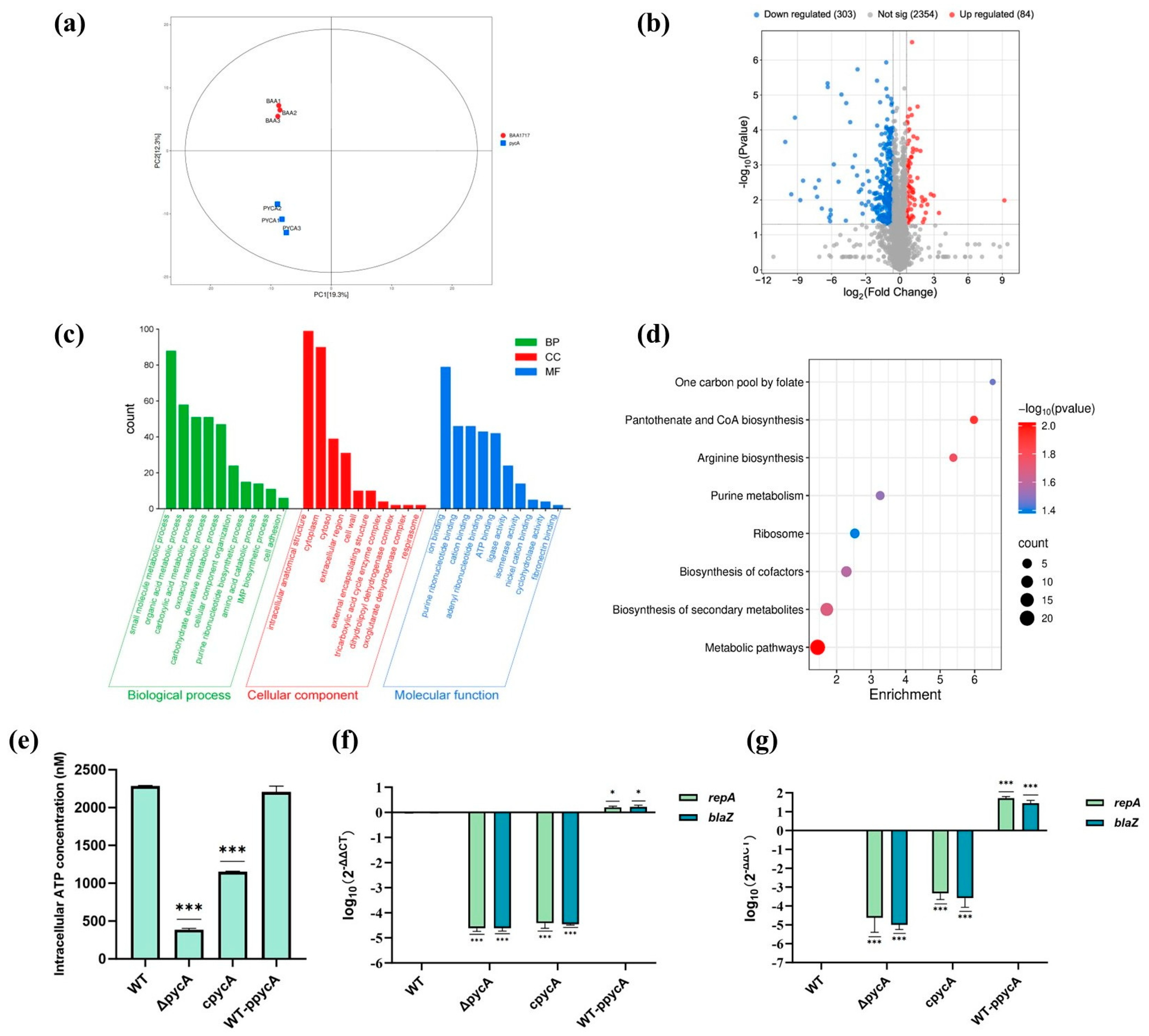Foods 14 02566 g003 Foods 14 02566 g003