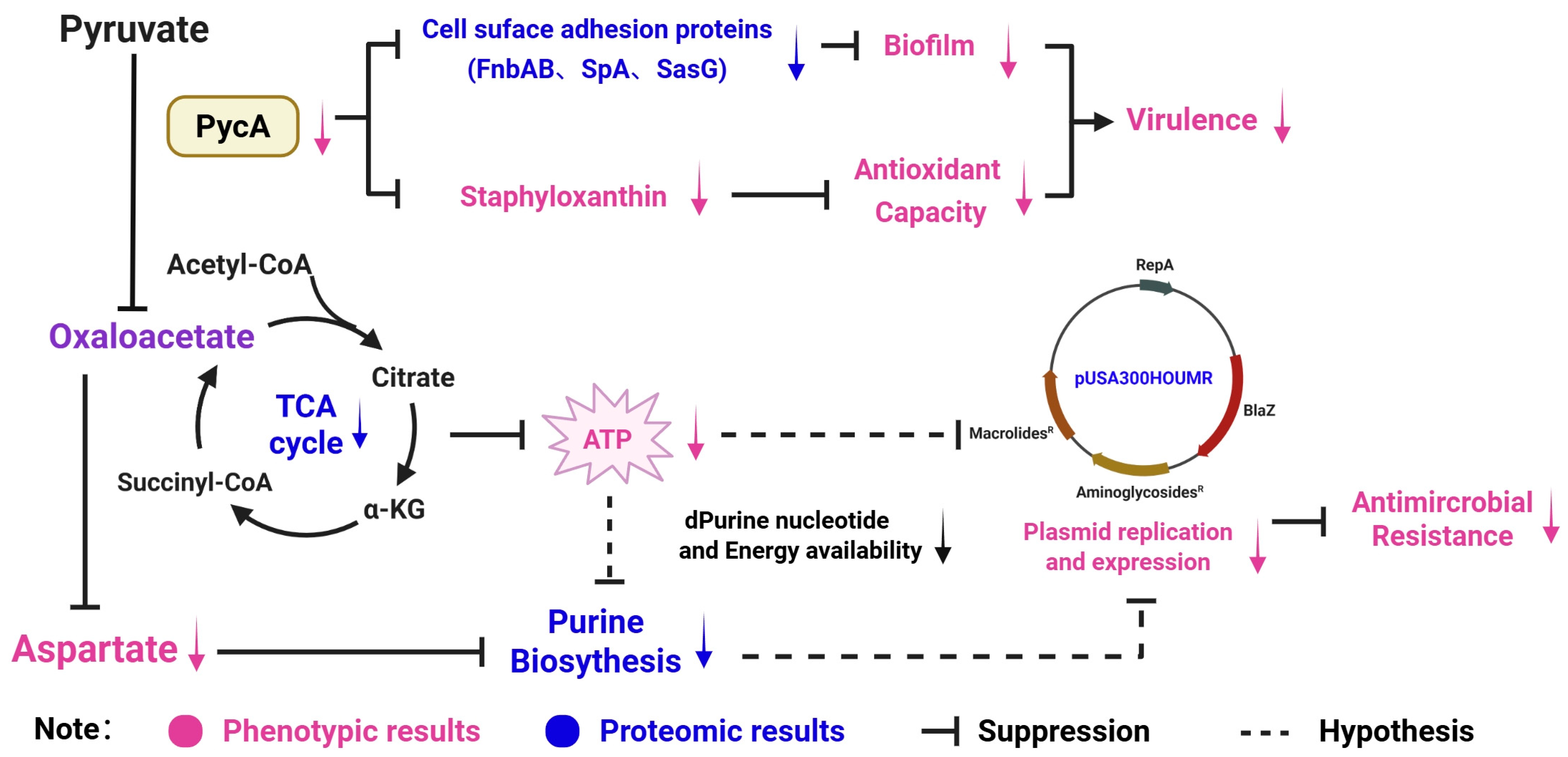 Foods 14 02566 g004 Foods 14 02566 g004