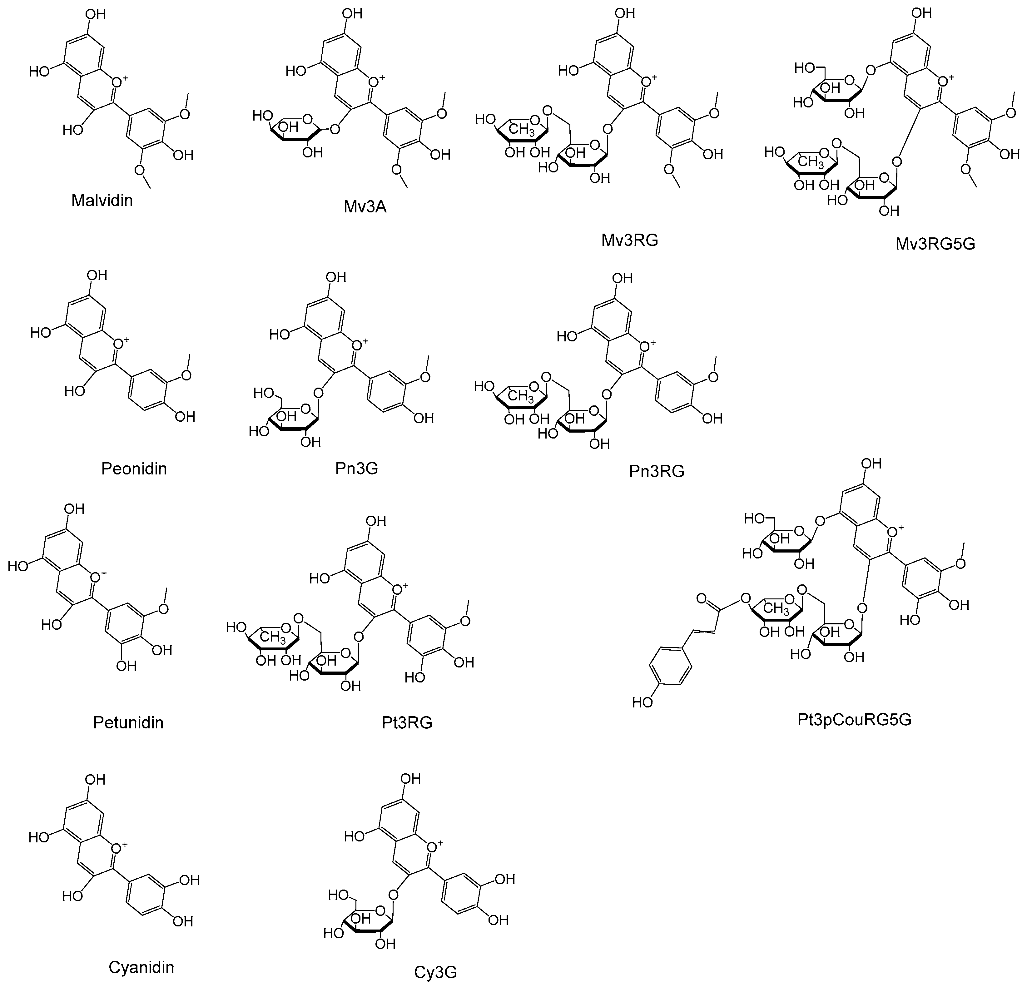 Foods 14 02582 g001 Foods 14 02582 g001
